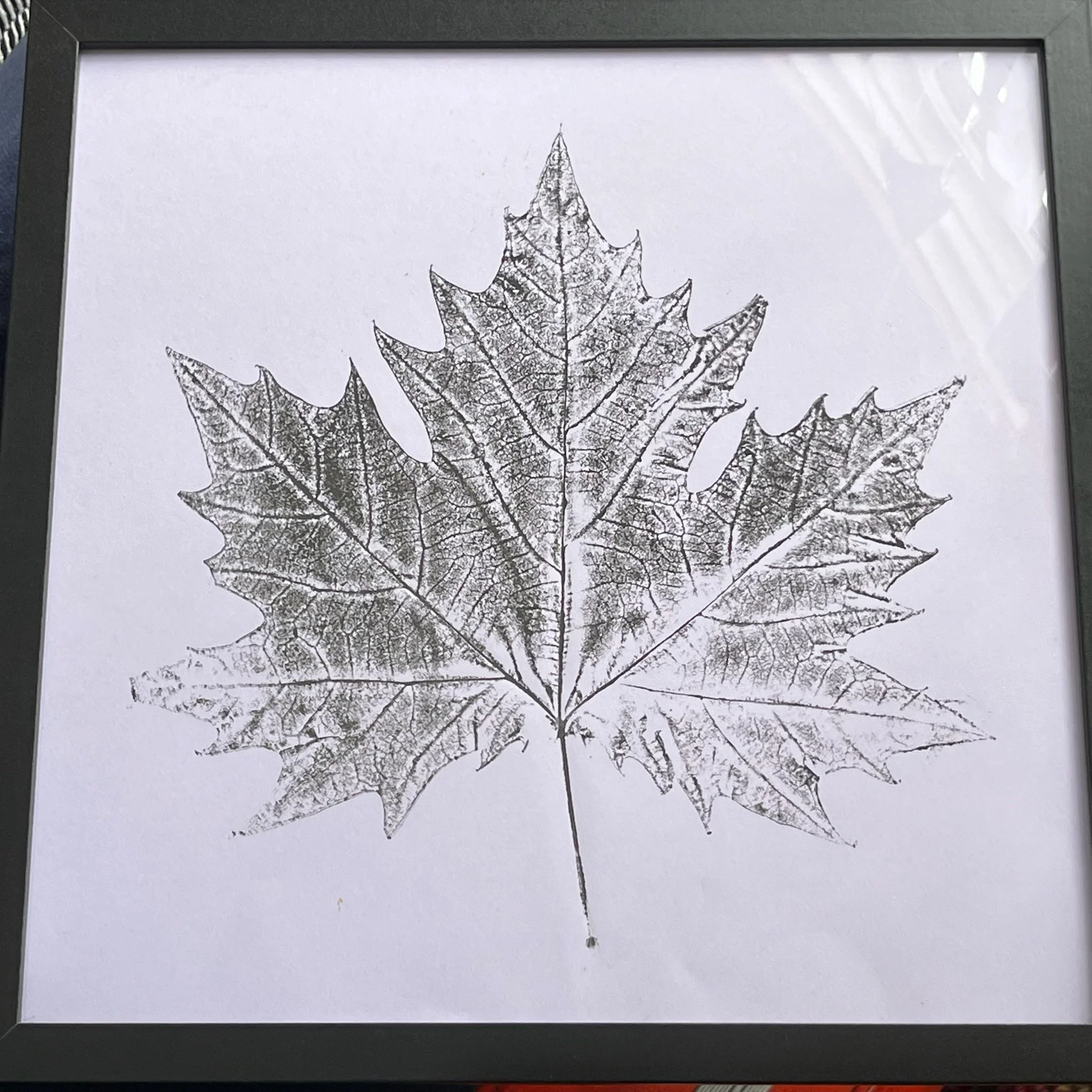 Giant Maple Leaf Monoprint 12x12
