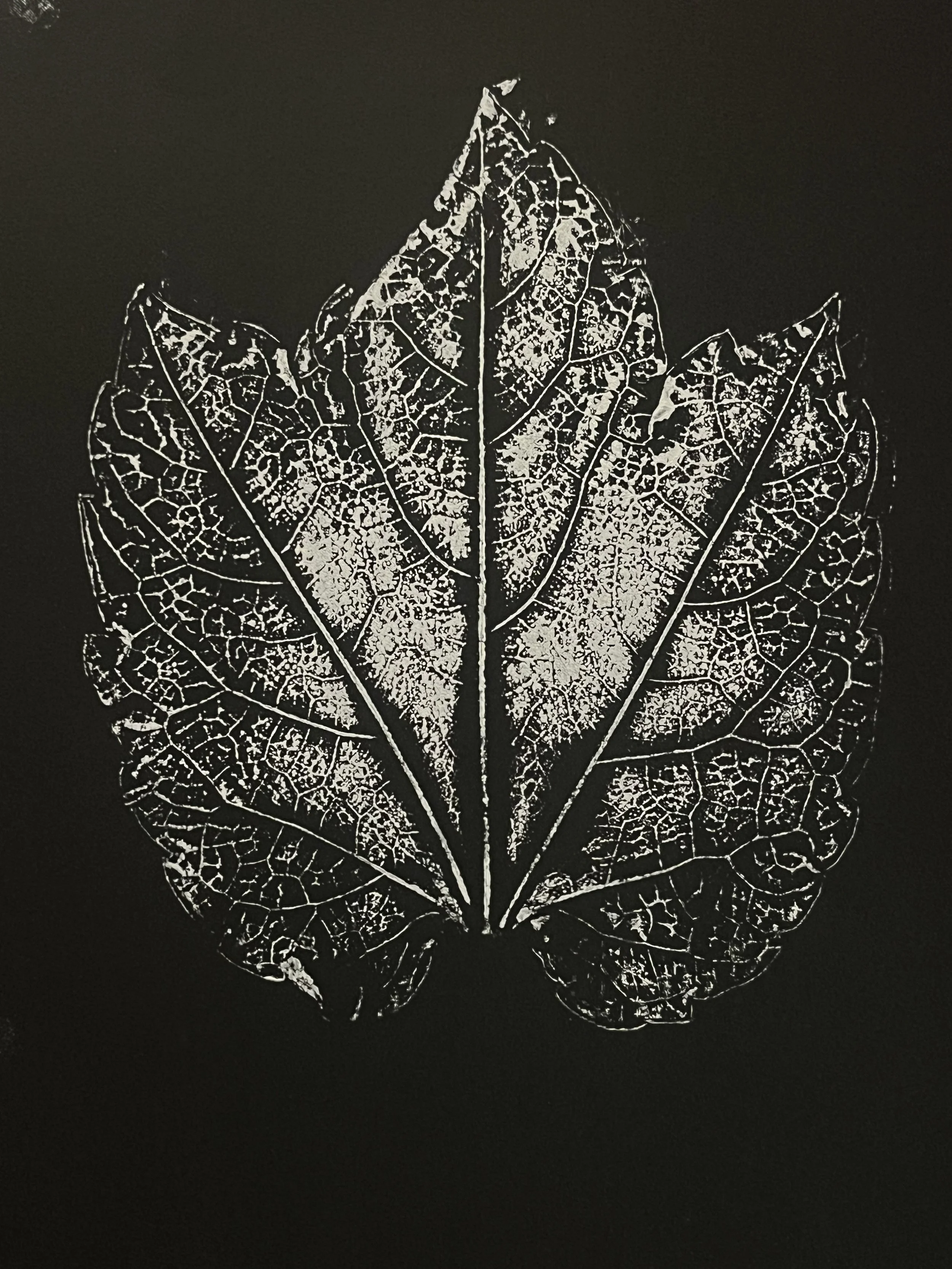 Ivy Leaf Monoprint