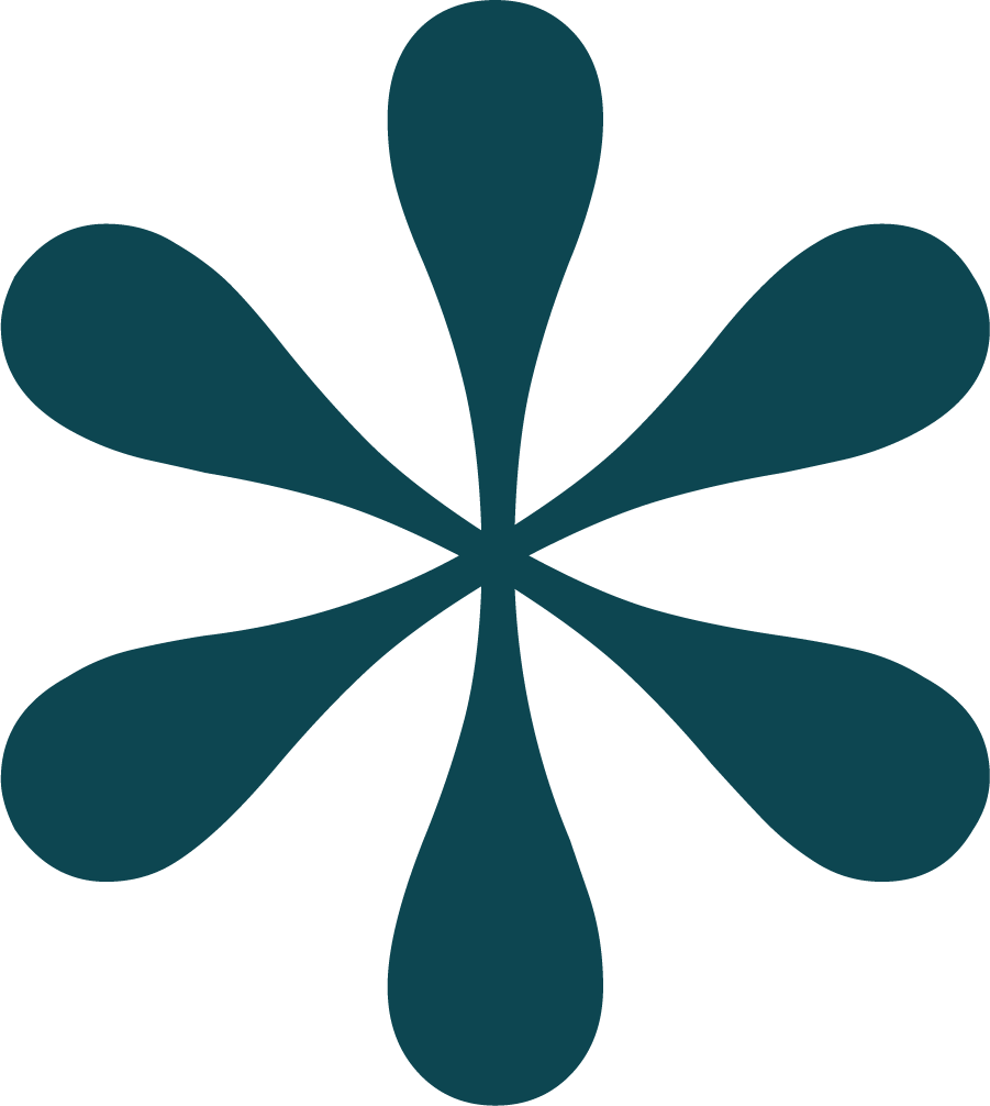 A stylized dark teal flower with eight elongated petals radiating from a small center.