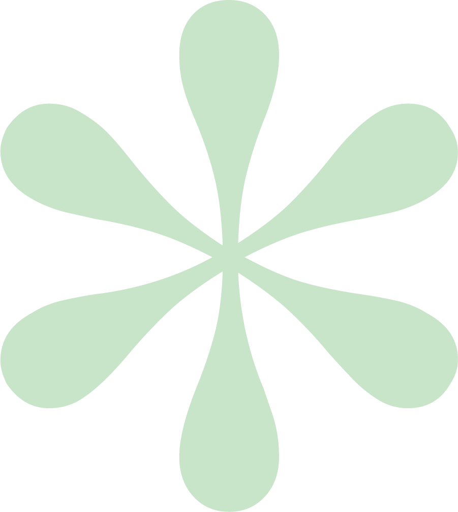Light green symmetrical geometric flower-like shape with eight elongated oval petals on a black background.