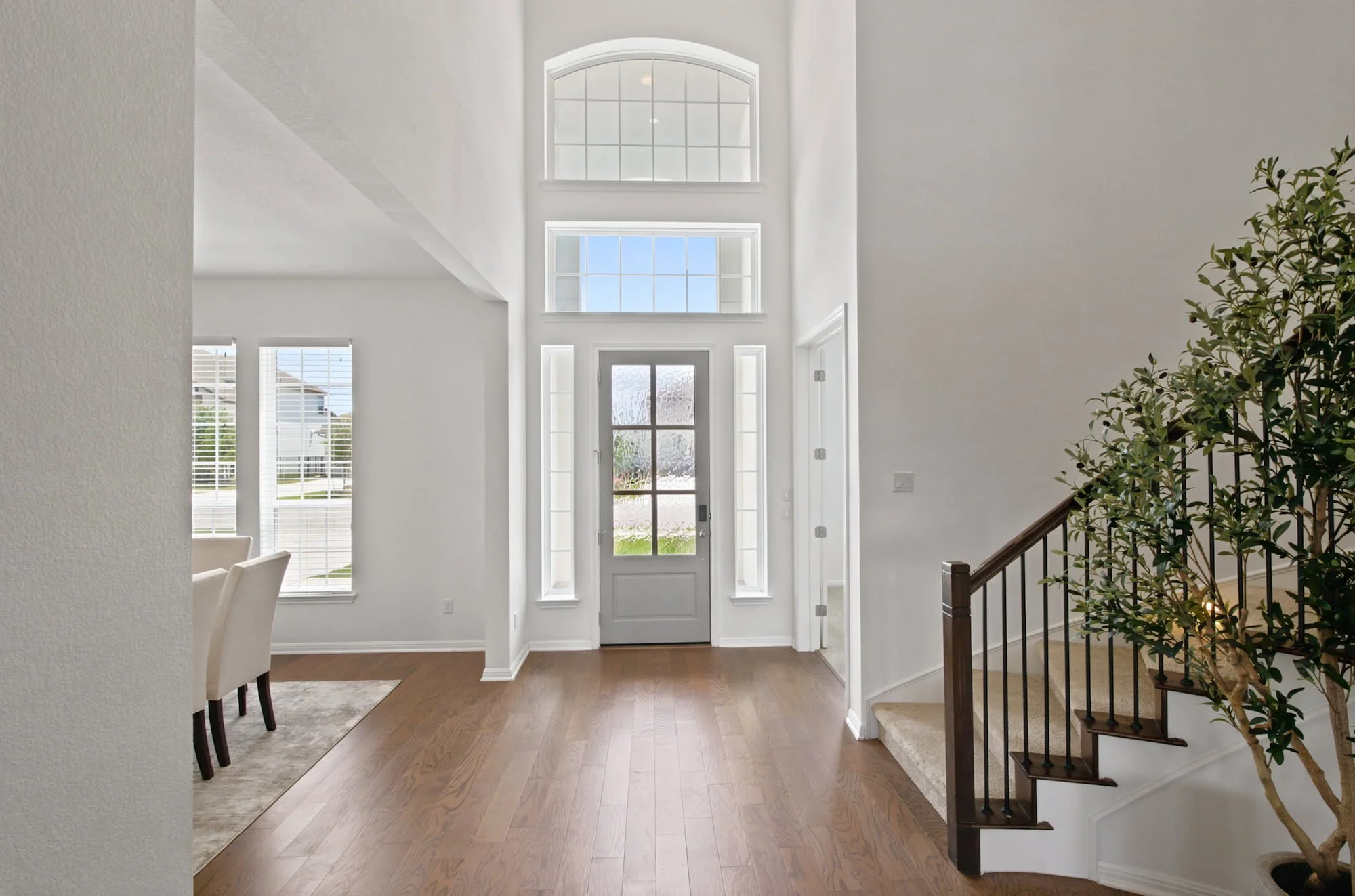 Soaring windows and an olive tree draw light into the two-story entry.