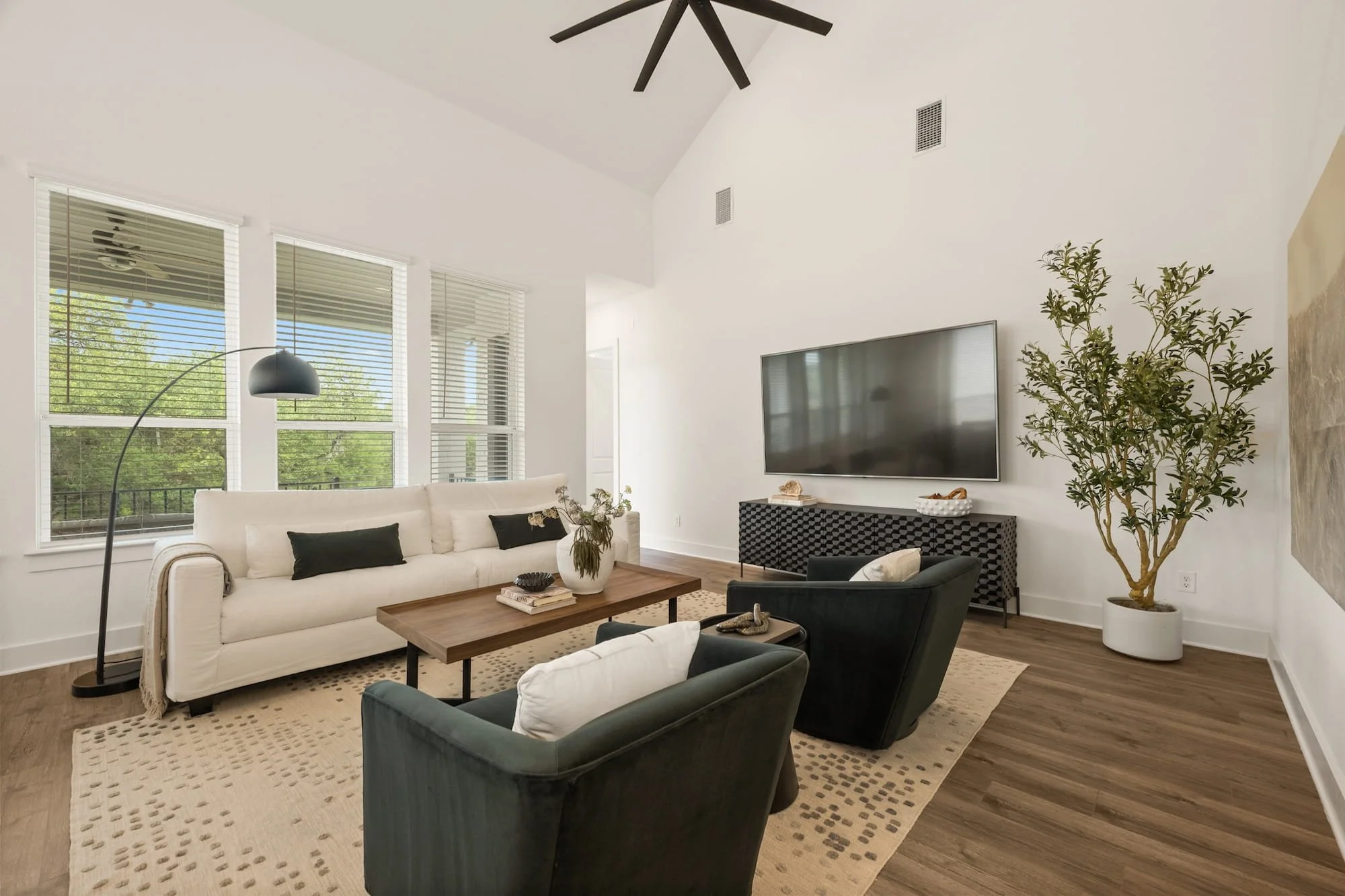 Leander, Texas luxury-staged living room with vaulted ceilings, oversized windows, and modern finishes