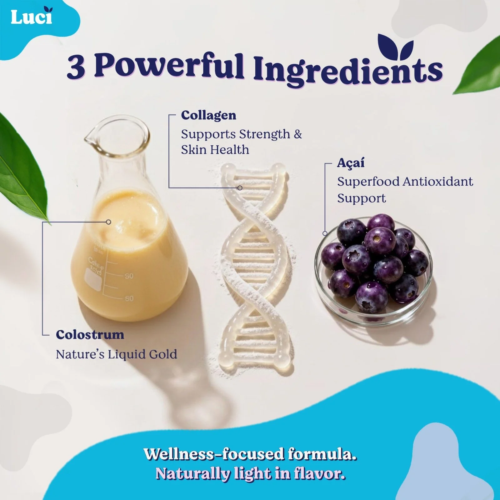 WhatsApp Image 2025-11-20 at 6.41.46 PM.jpeg