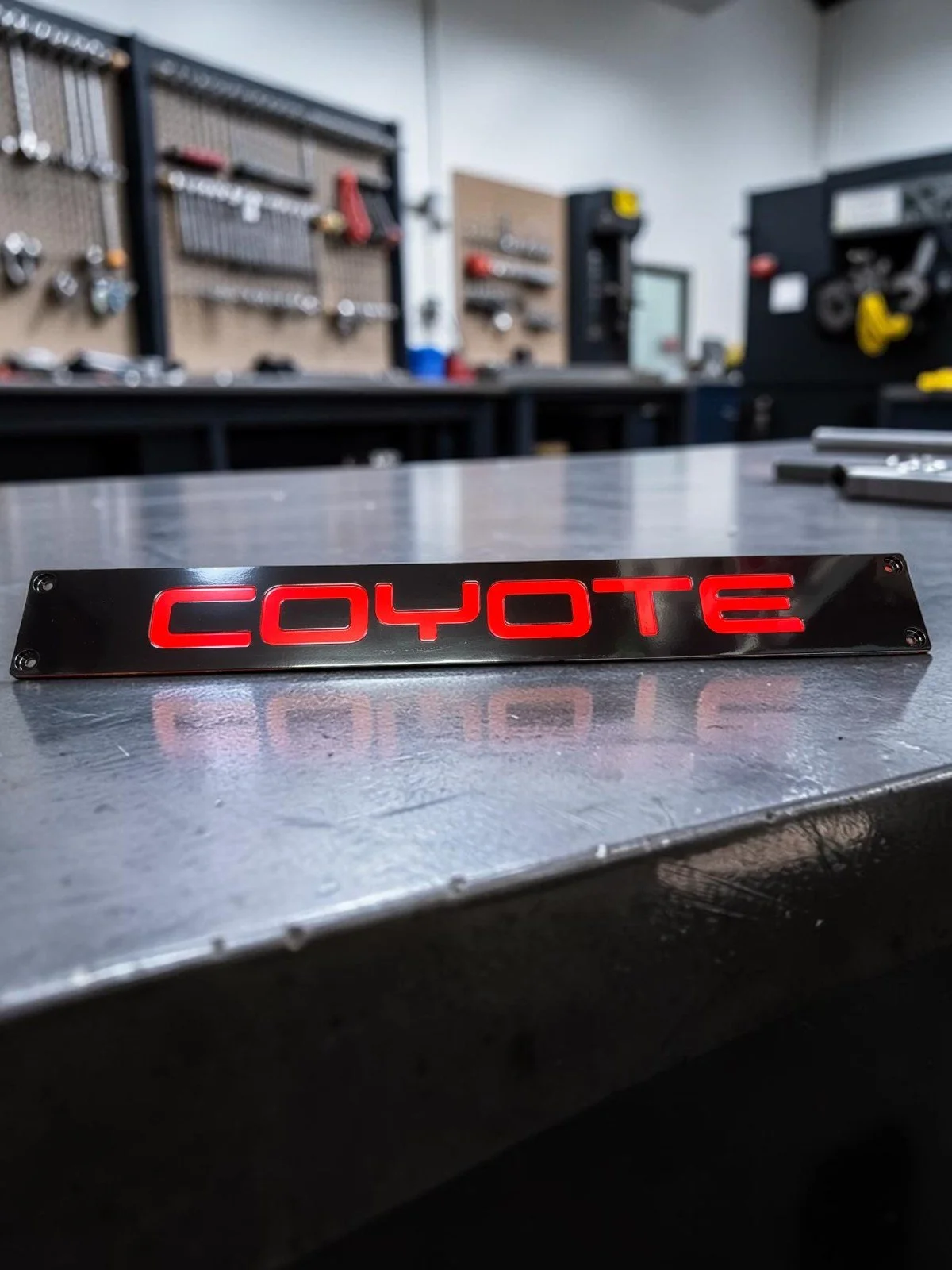 Coyote Radiator Plate RED_BLACK - S550.jpg