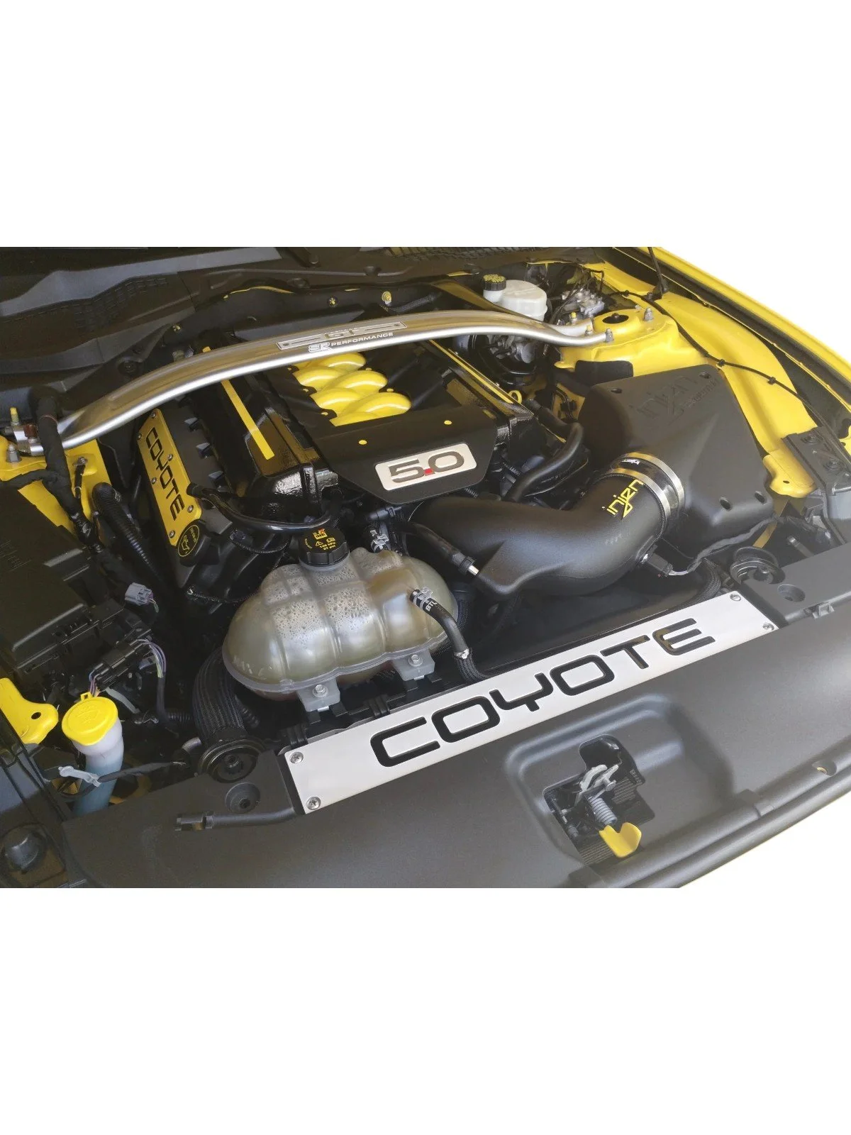 Coyote Covers.jpg