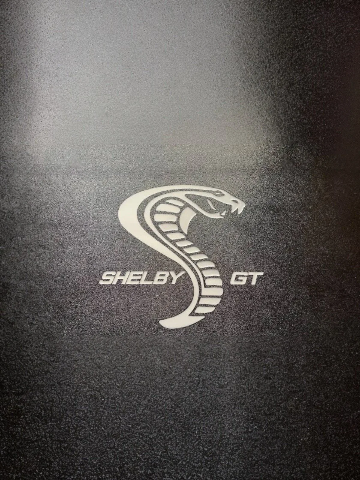 EMP-S197MustangSeatDeleteCustomized-ShelbyGT.jpg