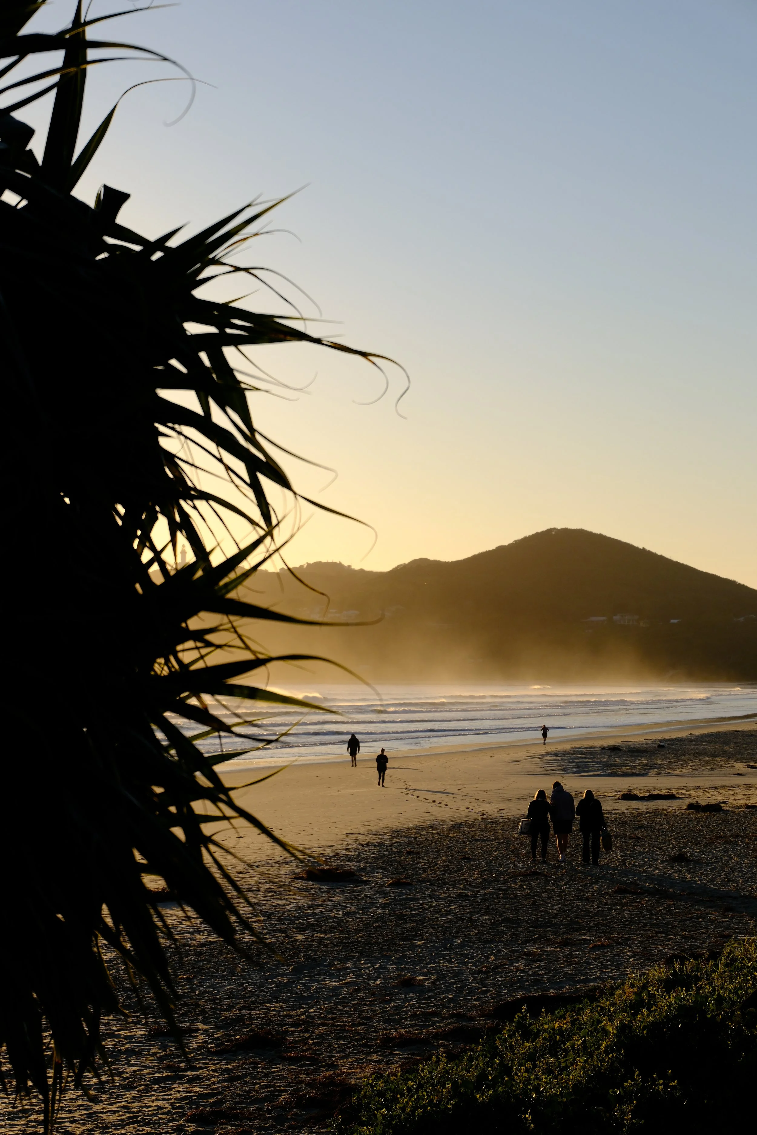 Silhouette of trees on a beach during sunset with a mountain in the background and people walking along the shore.