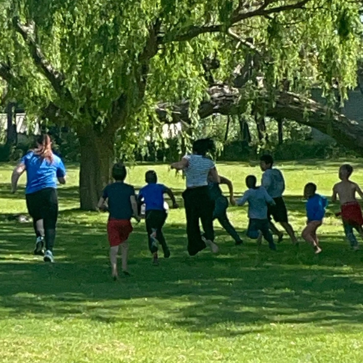 Kids and adults running and playing in a park under a large leafy tree on a sunny day.