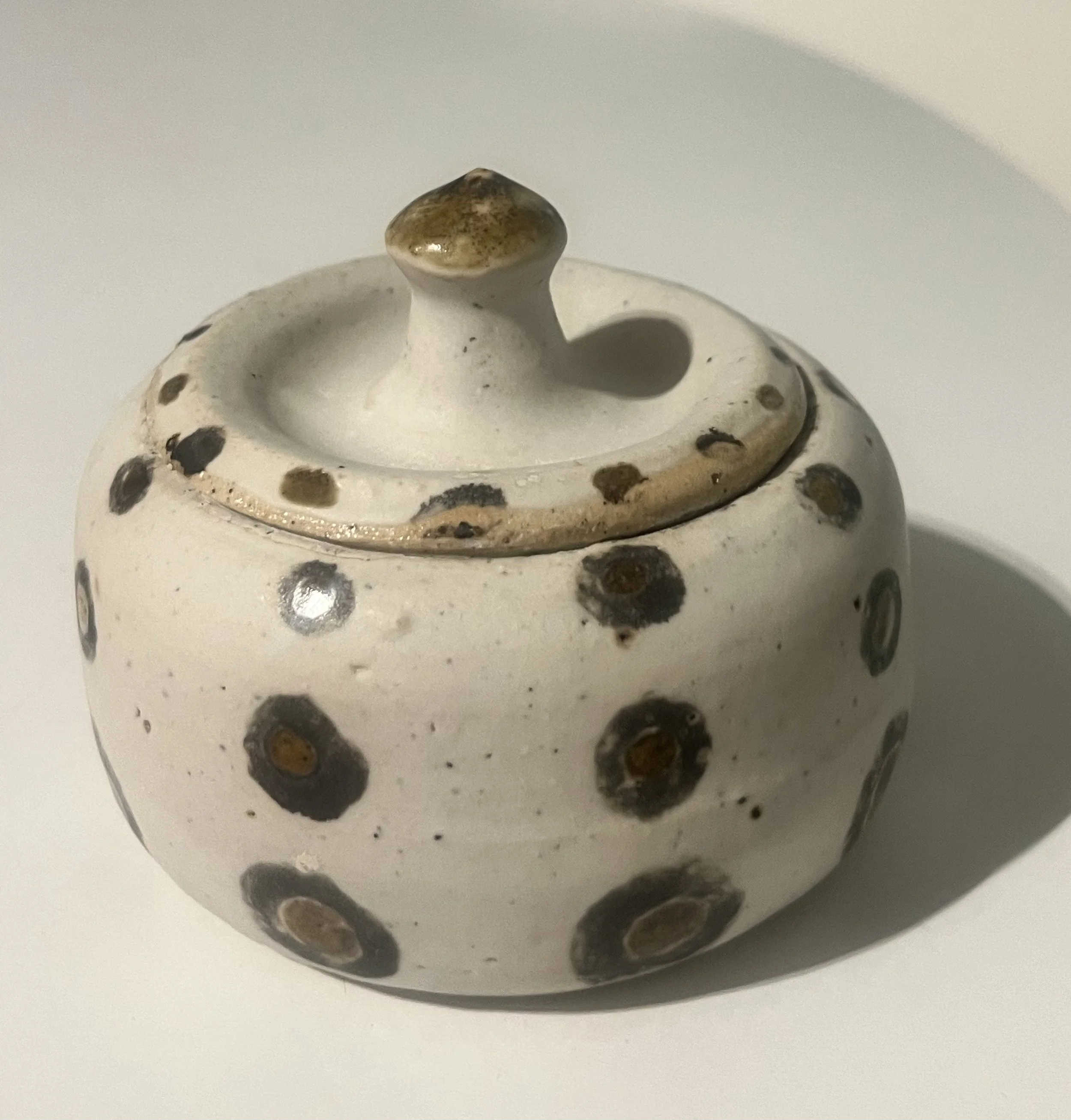 Custom pet urn 3.jpeg