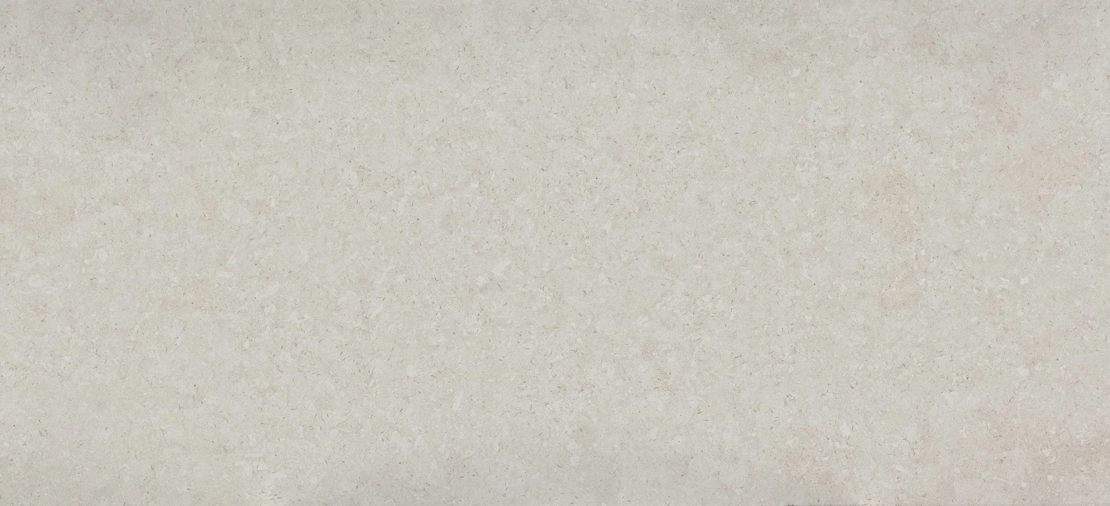 nebbia.jpg