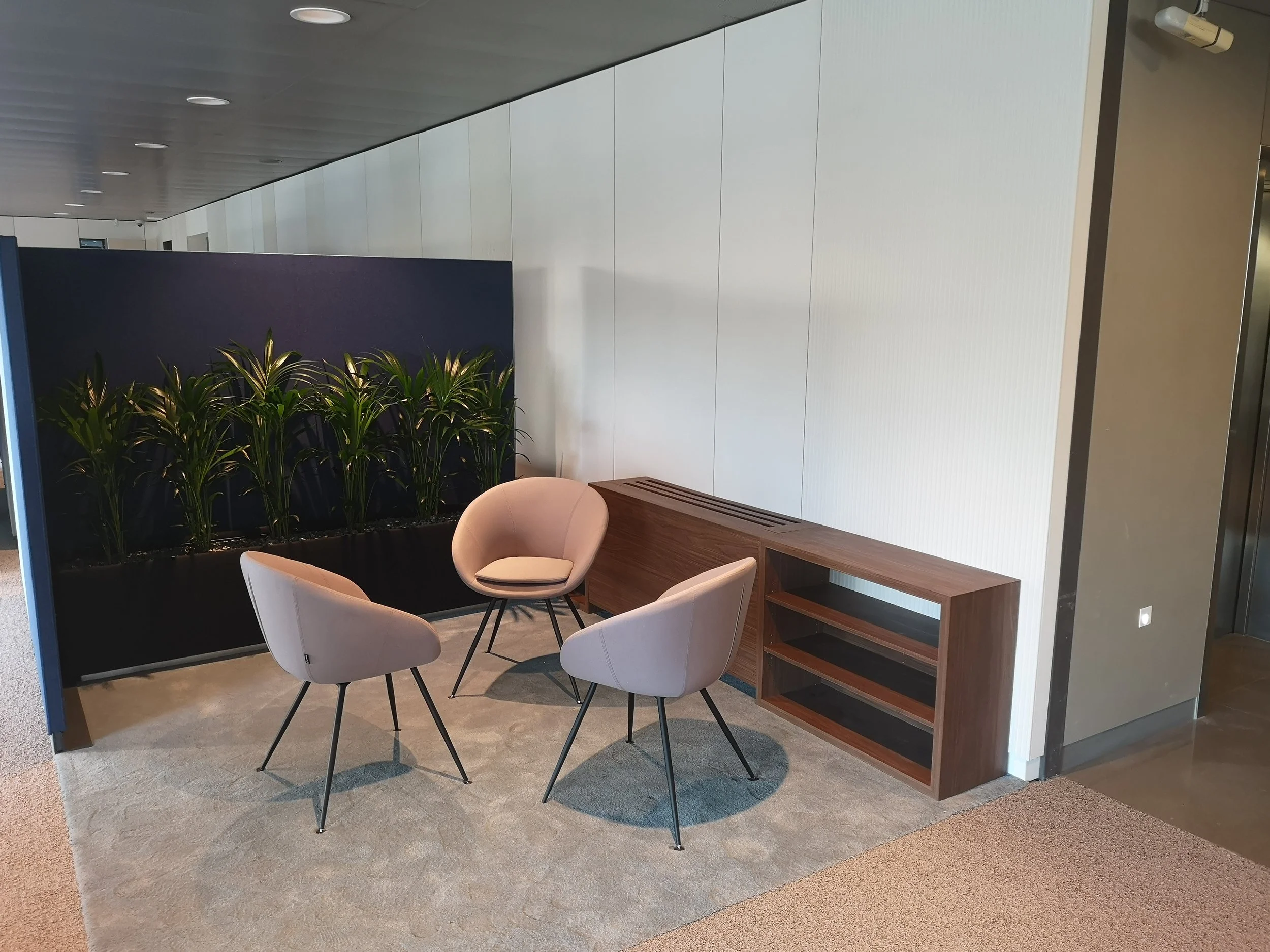 A modern indoor seating area with three beige chairs arranged in a circle, a wooden bench with open shelves, a black planter with green plants, white walls, and a ceiling with recessed lighting.