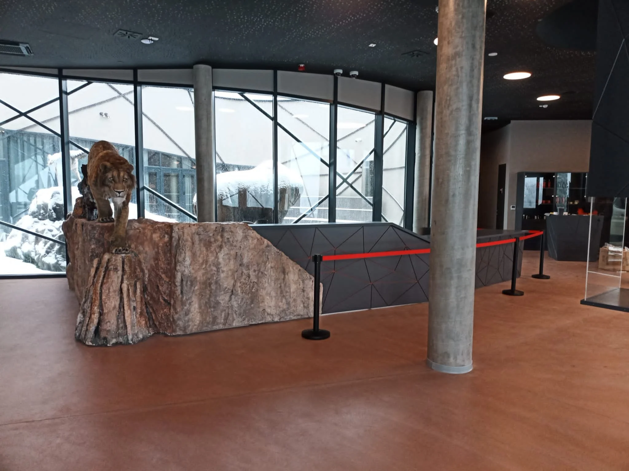 A life-sized lion sculpture on a rock inside a modern building with large glass windows and snow outside.