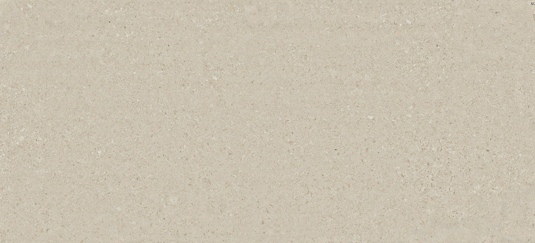 Avorio