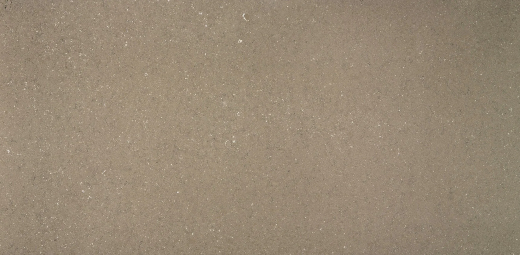 Coral clay
