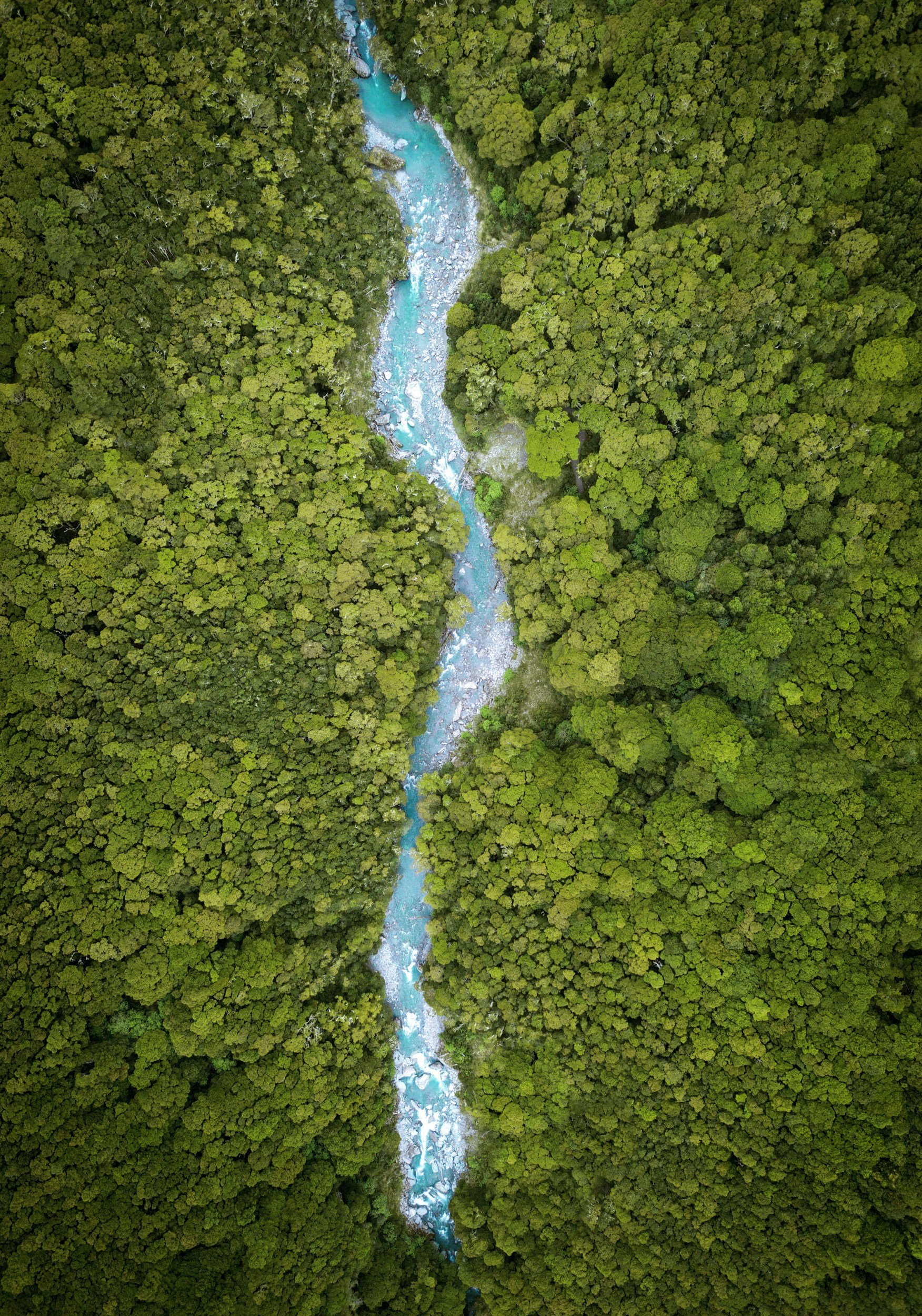 An aerial view of a narrow, winding river with light blue water flowing through a dense green forest.