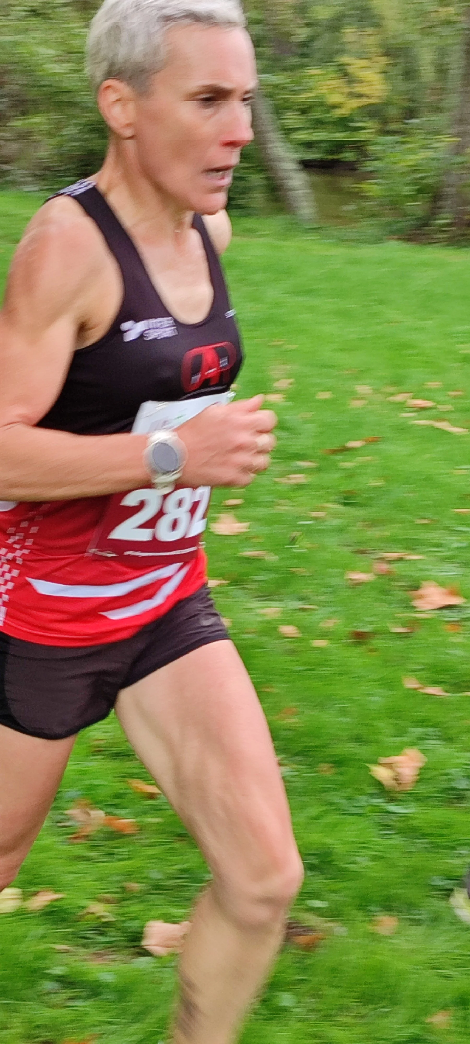 uploaded-image-1759055426-68d90e429c362.jpg