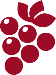 Grappe de raisins rouges.