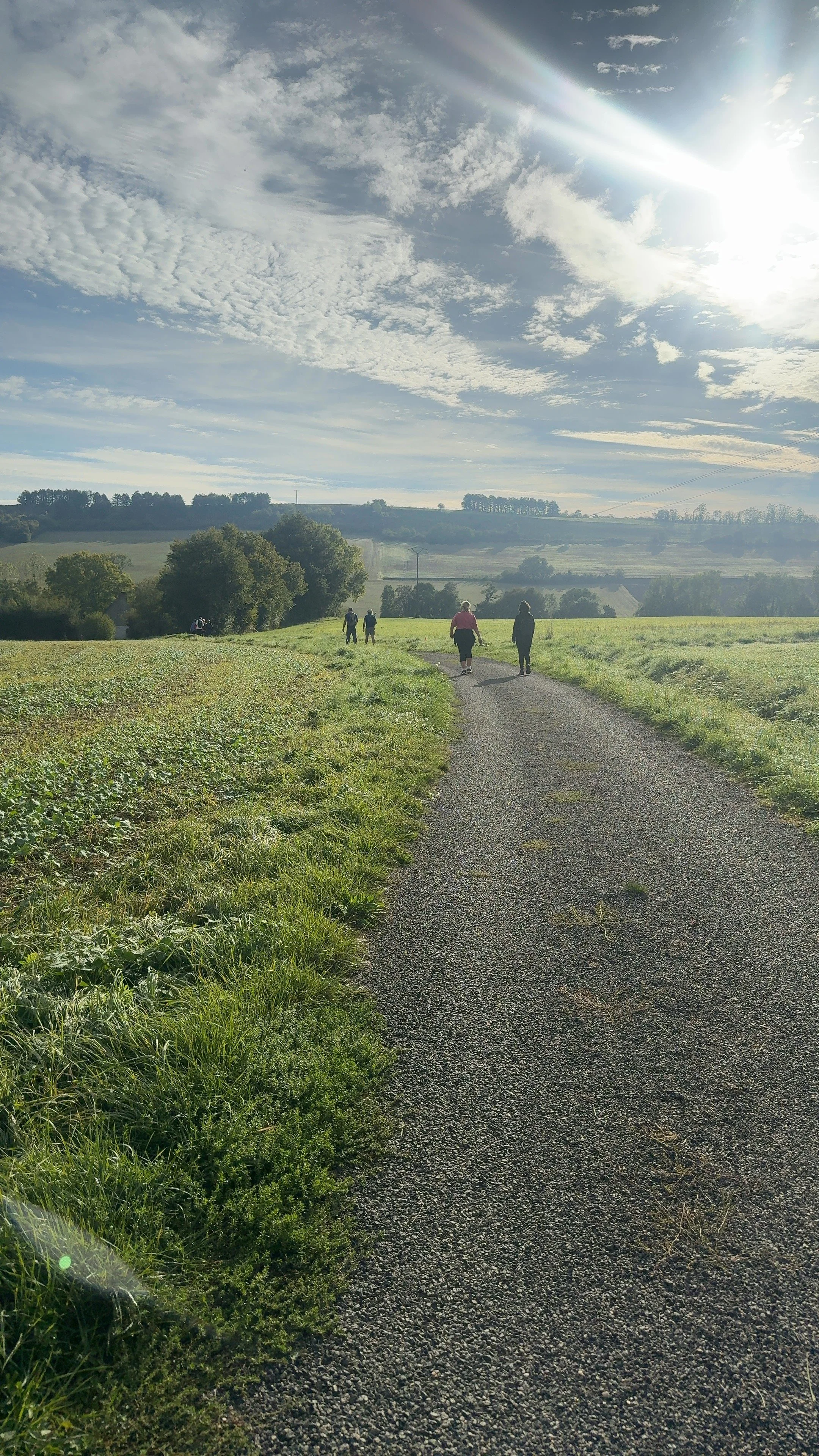uploaded-image-1759045169.jpg