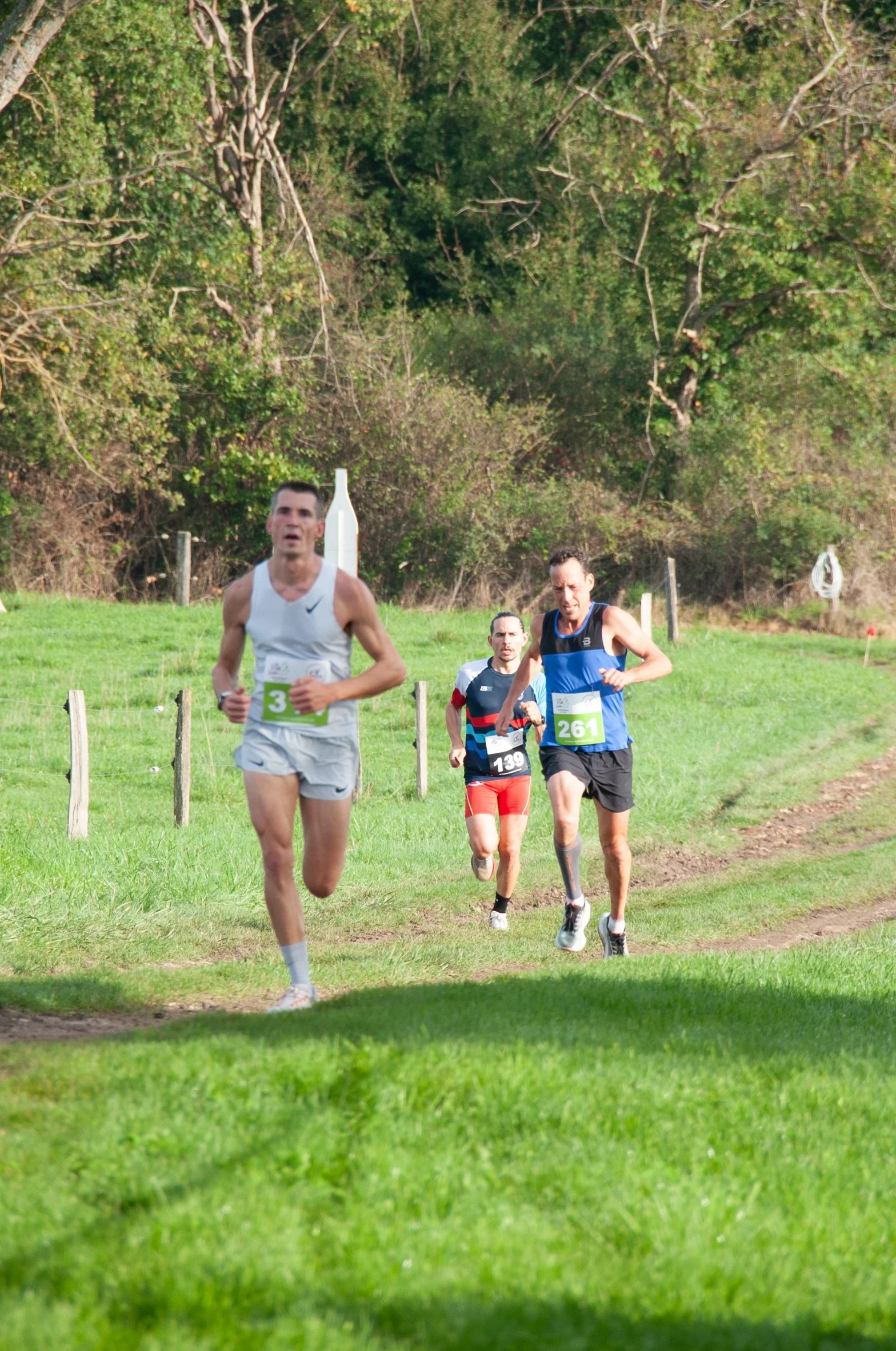 Trois coureurs en pleine course dans une zone naturelle verte, avec des arbres en arrière-plan, portant des tenues de sport et des dossards avec des numéros.