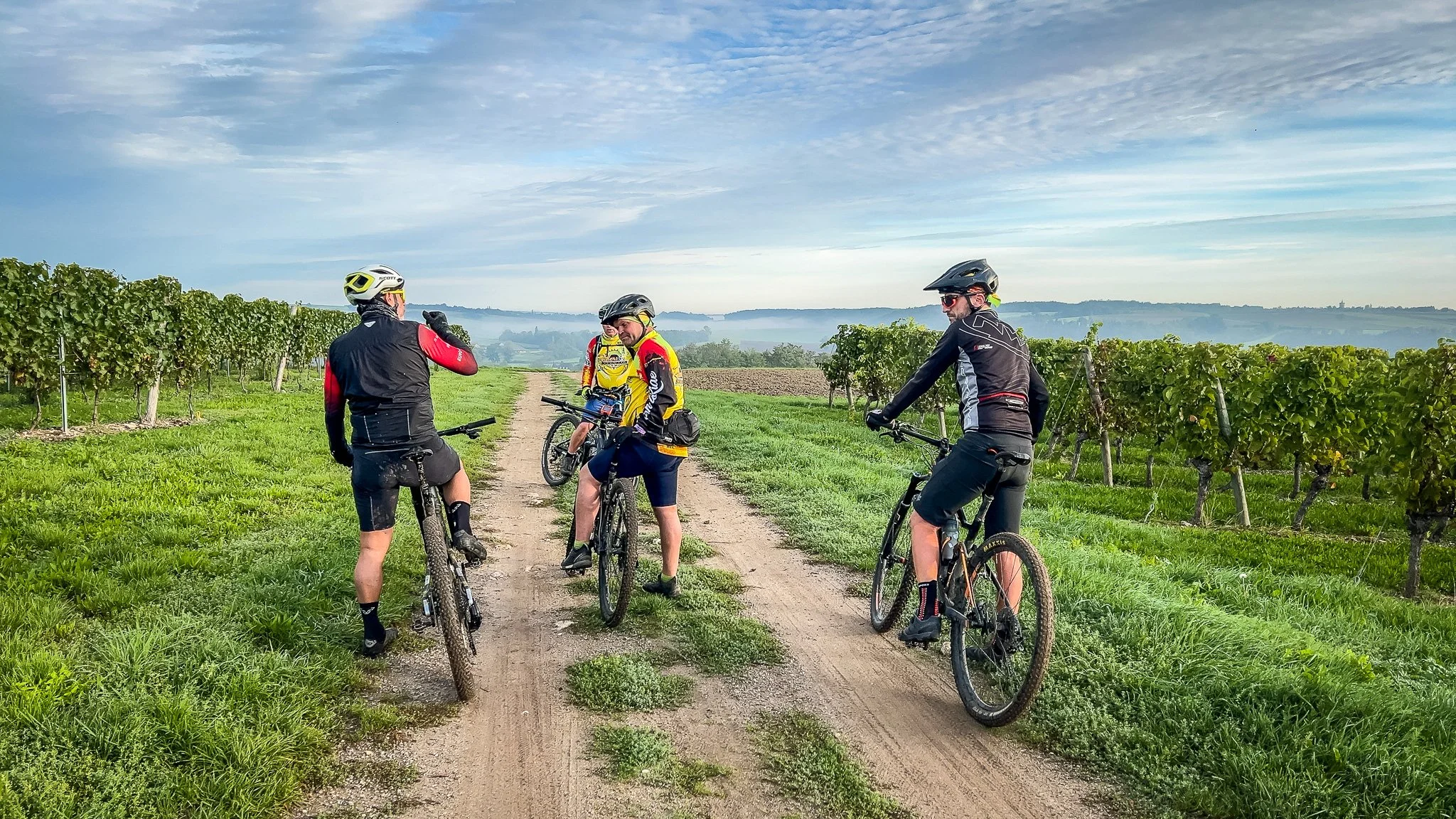 Quatre personnes en tenues de cyclisme, portant des casques, discutant avec leurs vélos sur un chemin en campagne, entouré de vignes et un ciel partiellement nuageux.