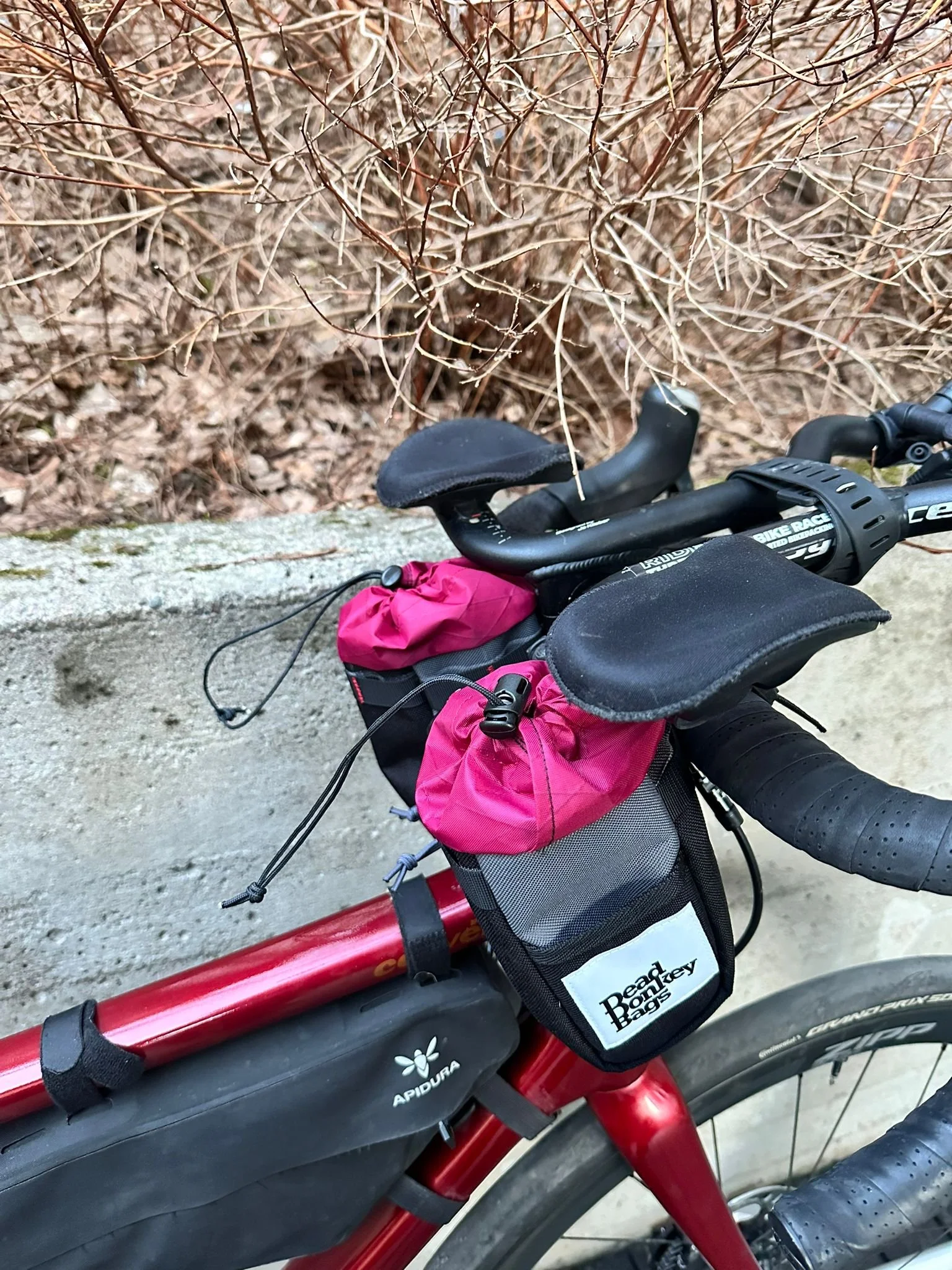 Close-up of a red bicycle with a black handlebar bag and pink saddle bags, parked against a concrete wall with dried brown bushes in the background.