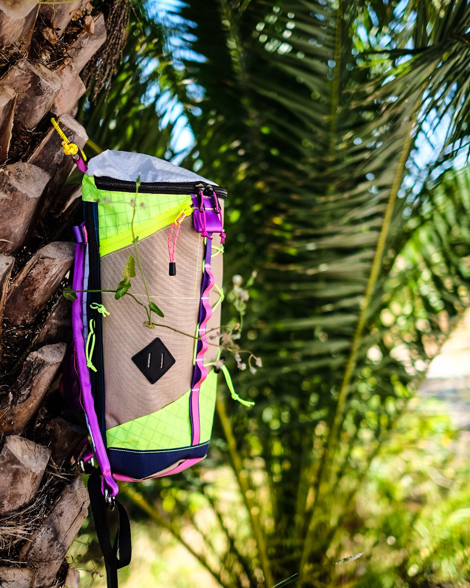 A colorful backpack hanging on a palm tree with green foliage in the background.