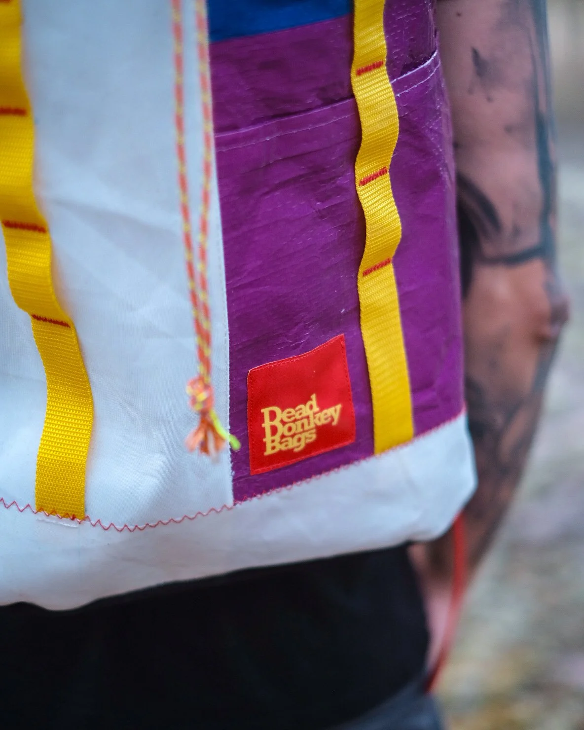 Sailor donkey, pride edition