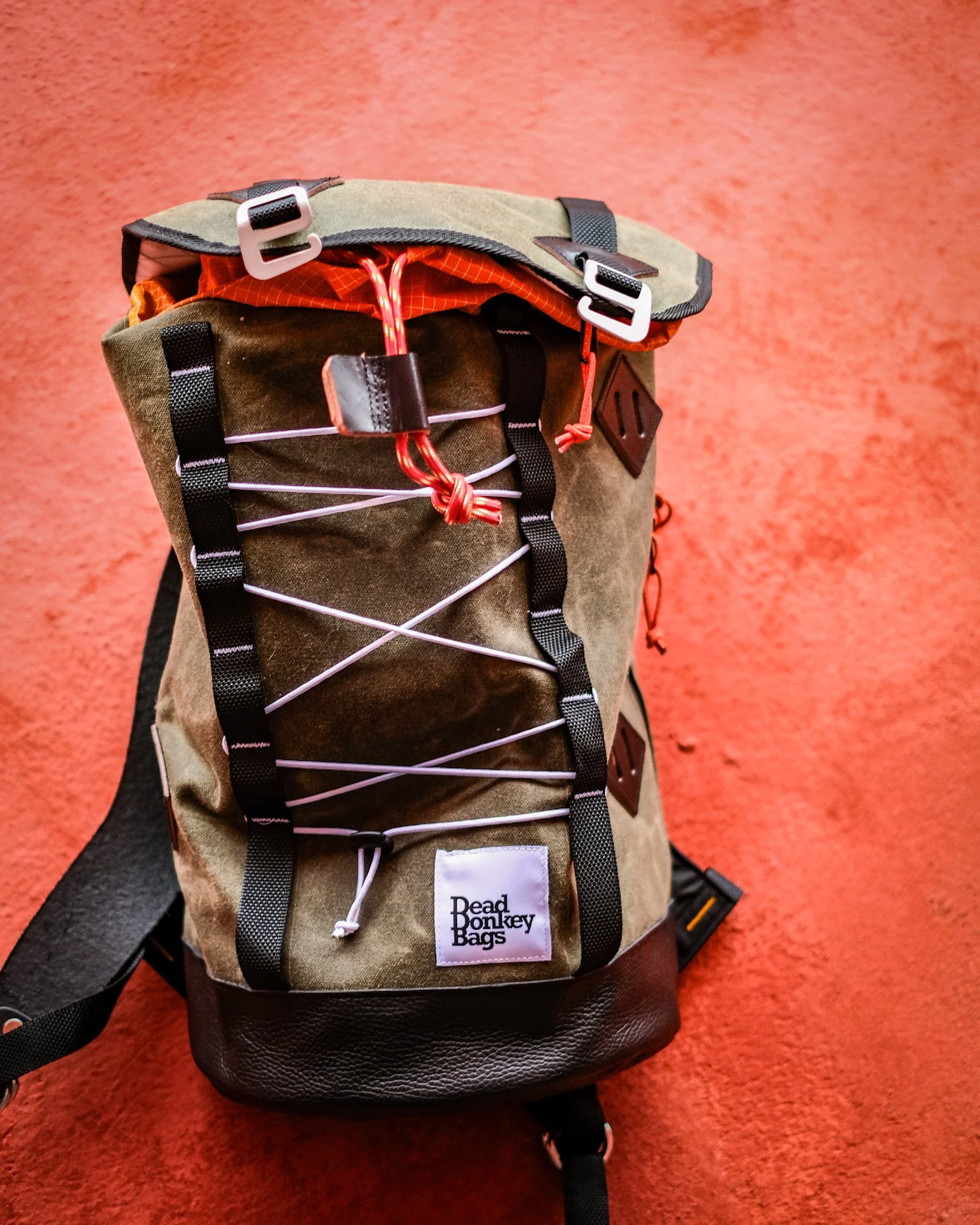 A backpack with a brown and green design, black straps, and white bungee cords on the front, placed on a reddish carpeted floor.