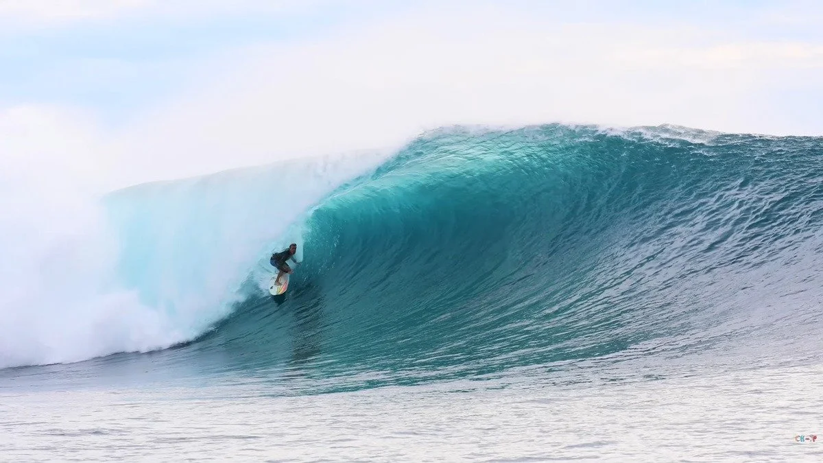 jacob-willcox-fail-to-fiji.jpg