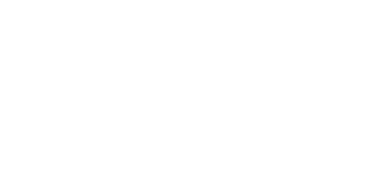 Ferrari logo in black and white with a white horse emblem above the brand name.