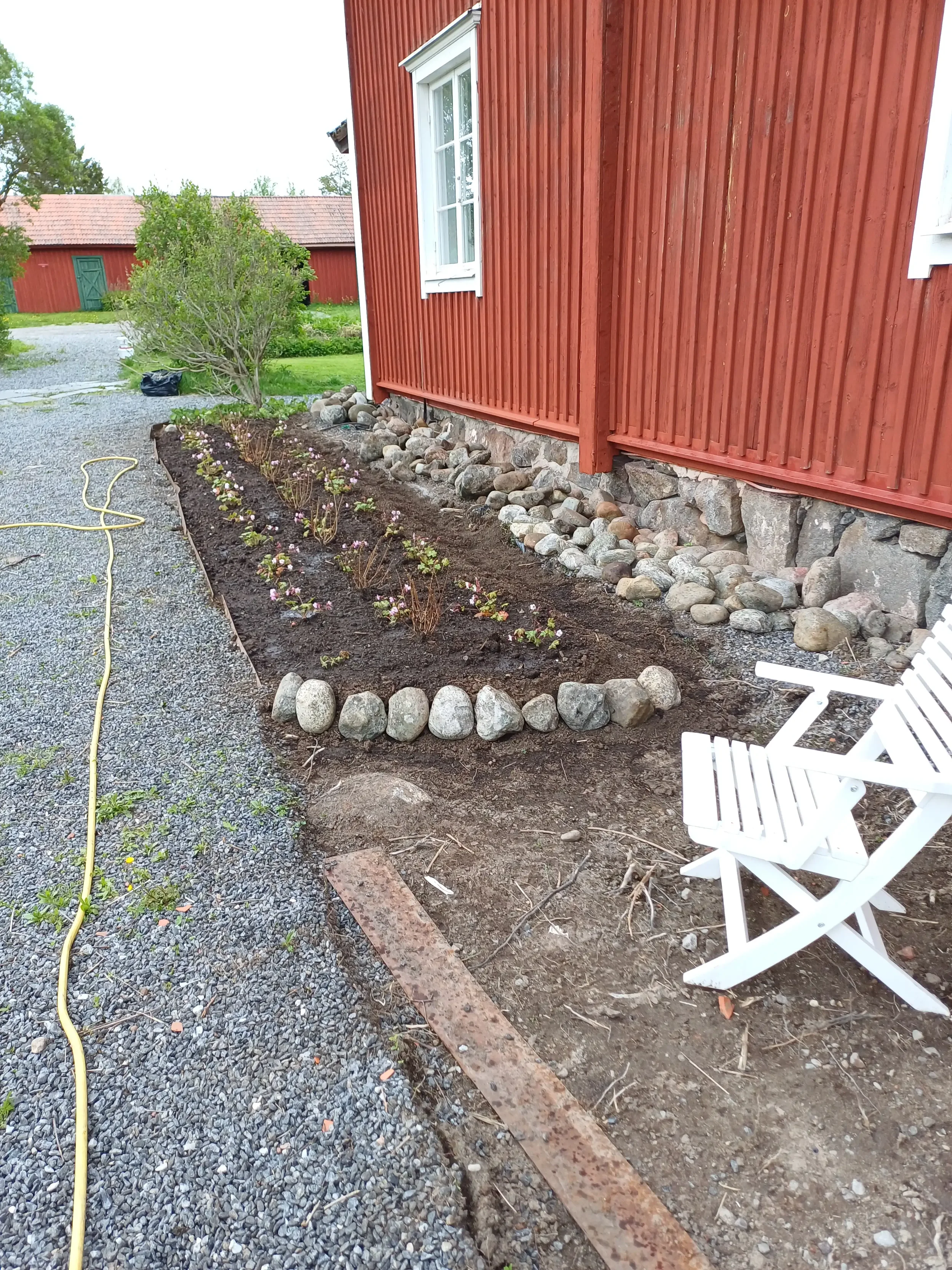 nyplantering (2).webp