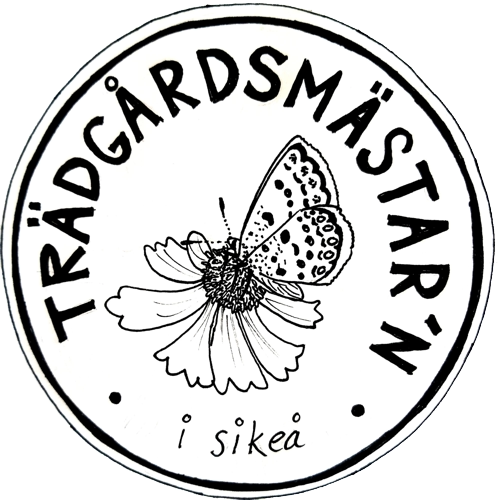 Katarina Paulsson - Trädgårdsdesigner och skulptör - från vision till verkligen