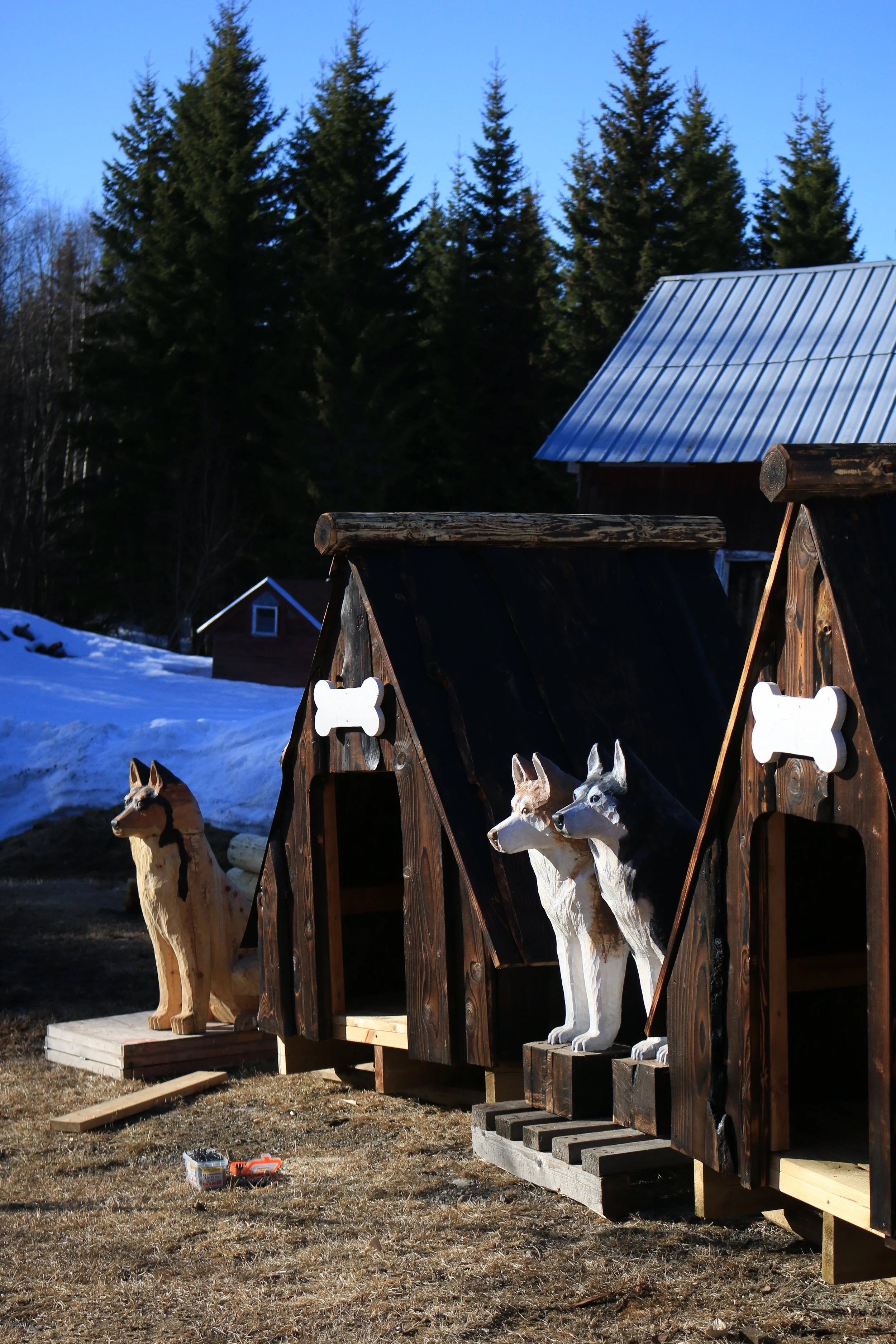 Spruce island husky, Granö