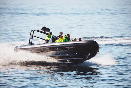RIB safari adventure along the Norwegian coast