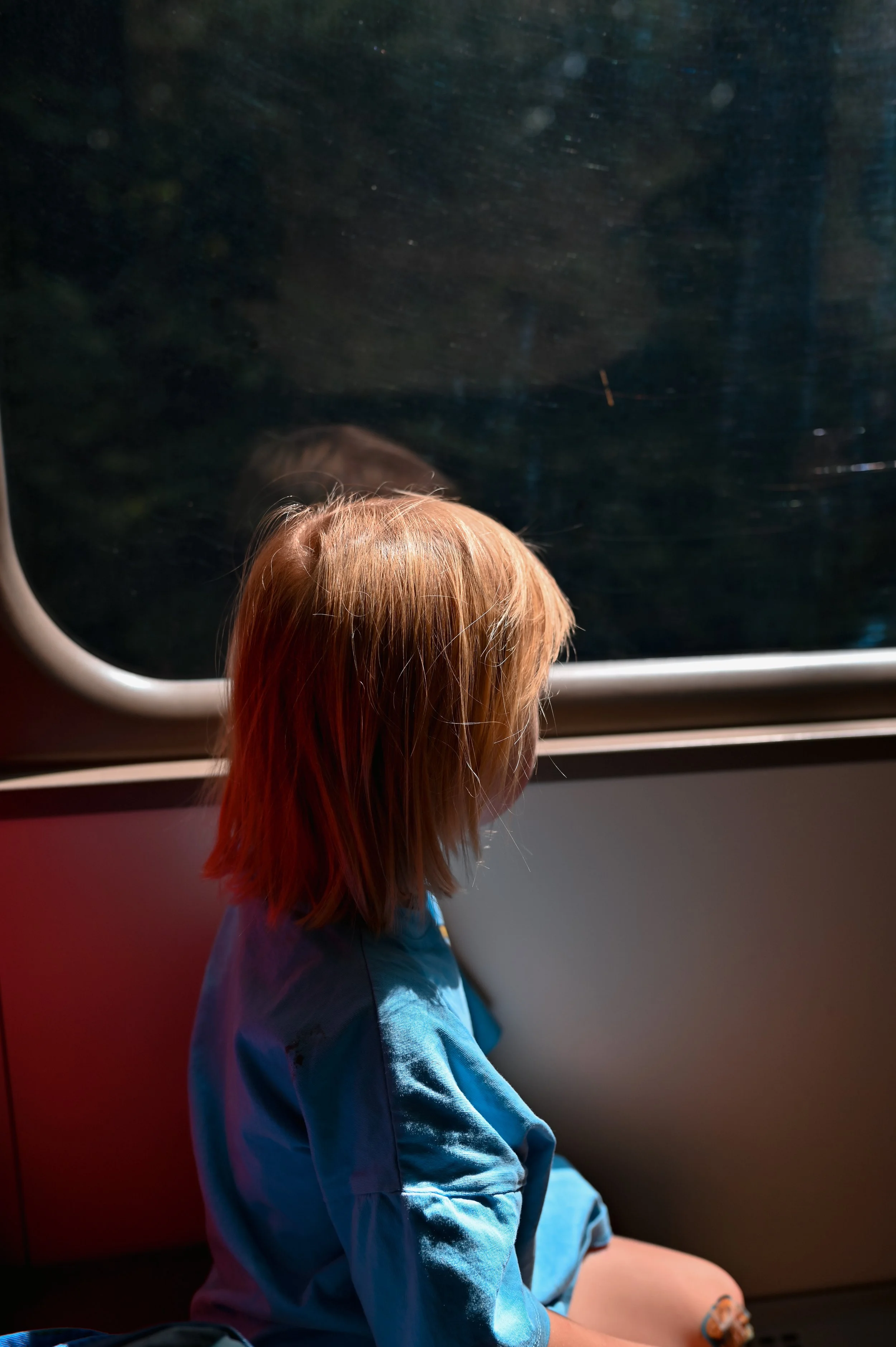 ndf-2.jpg