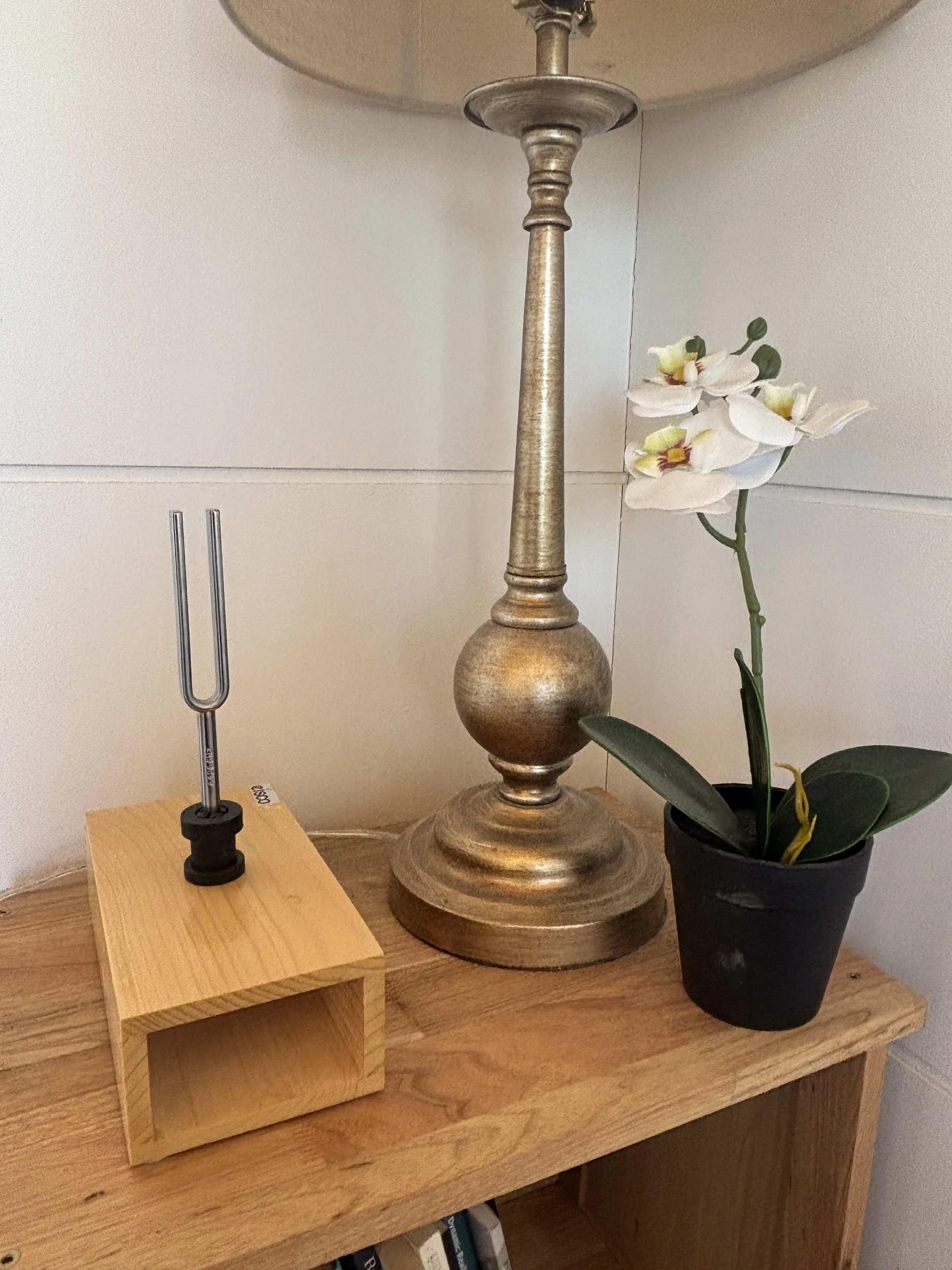 A decorative wood table lamp, a small gardening tool with a forked end, a black pot with an orchid plant, on a wooden surface against a white wall.