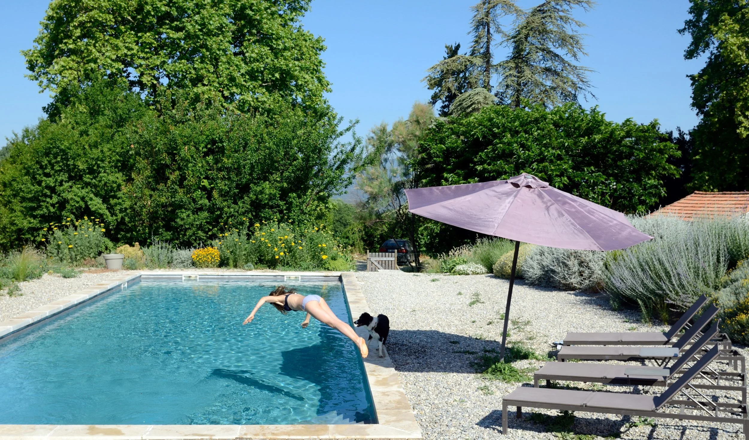 piscine plongeon.jpg
