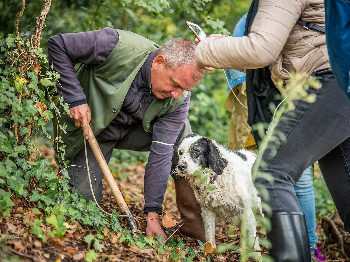 Traditional Truffle Hunting - Coming Soon!