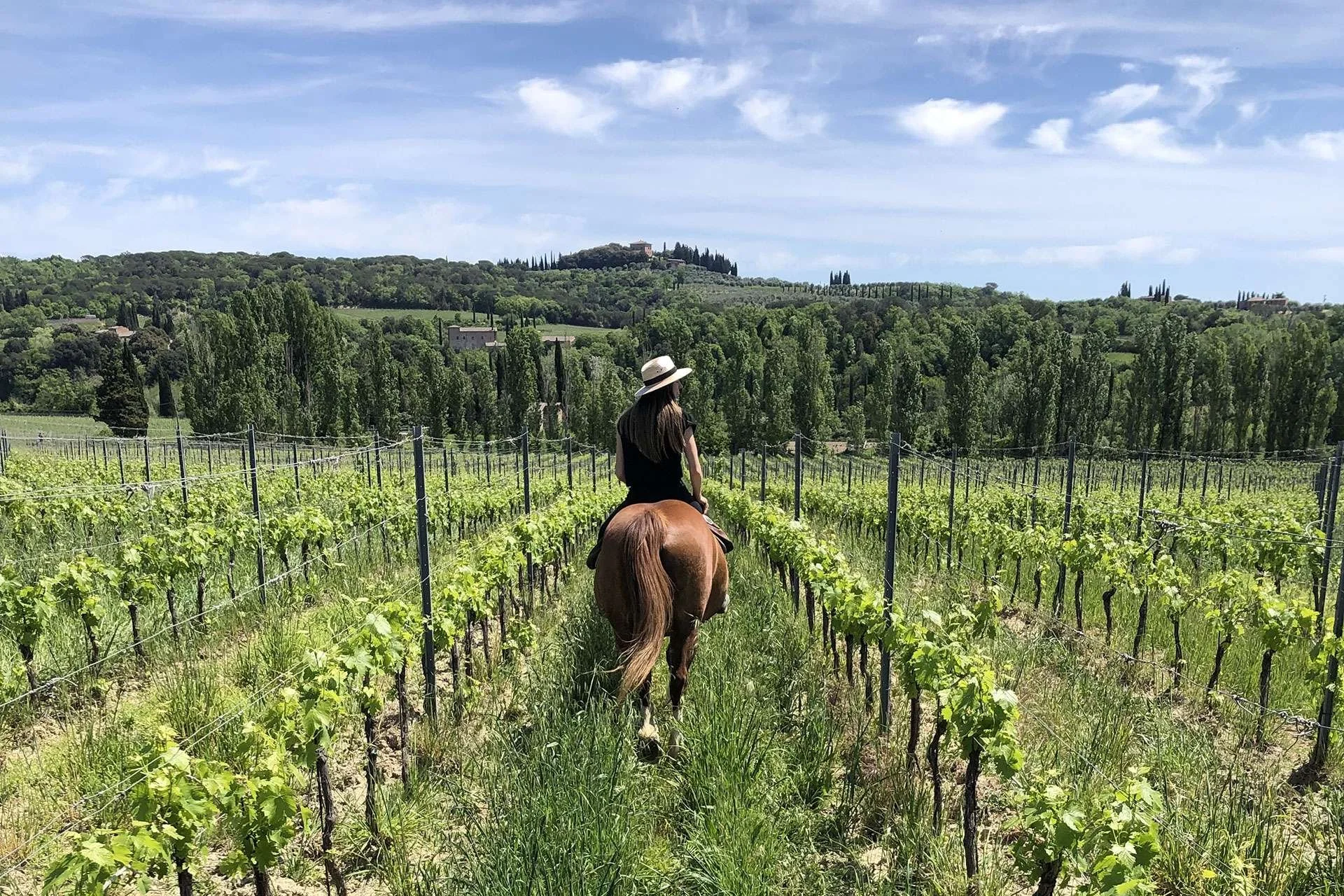 Horseback Ride & Wine Tasting - Coming Soon!