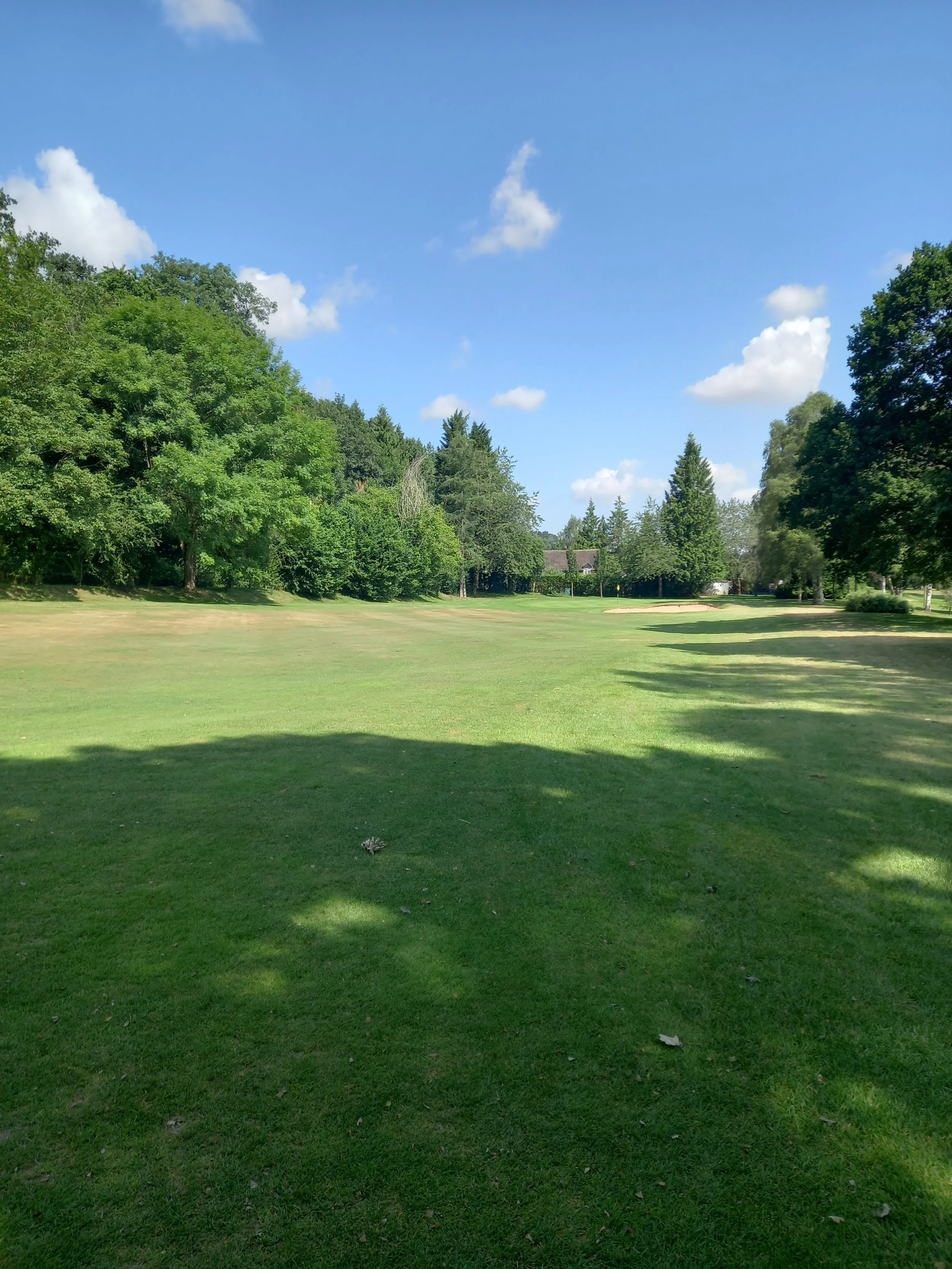 20210726_111015 - Copy.jpg