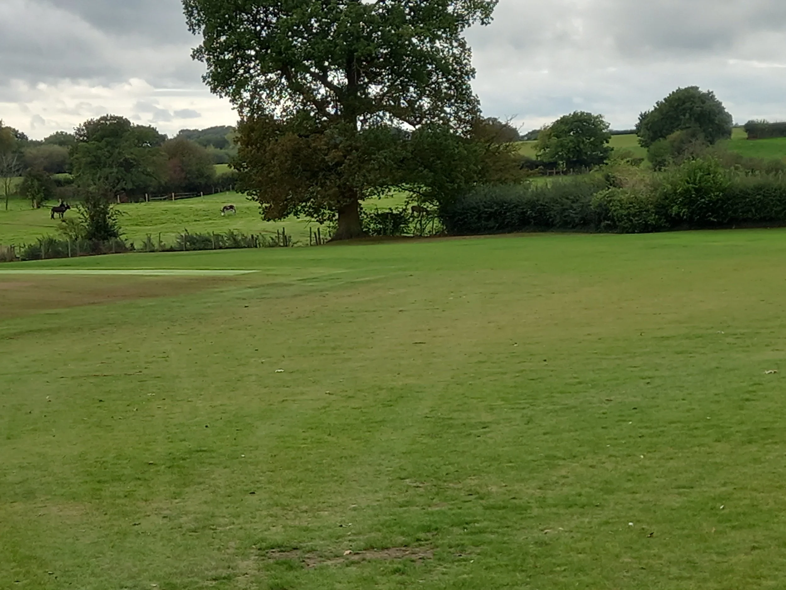 20211007_124007 - Copy.jpg