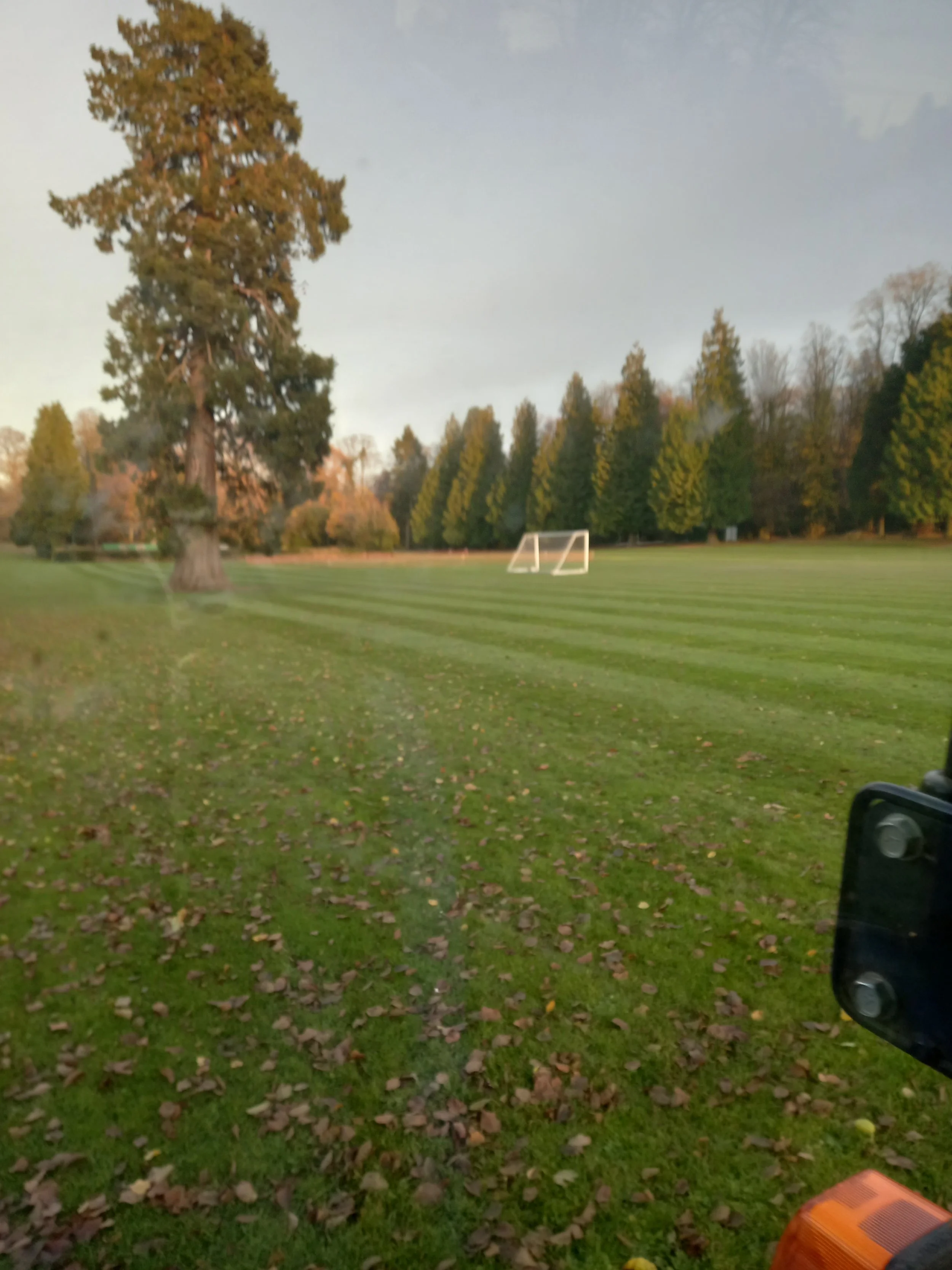 20211125_153924 - Copy.jpg