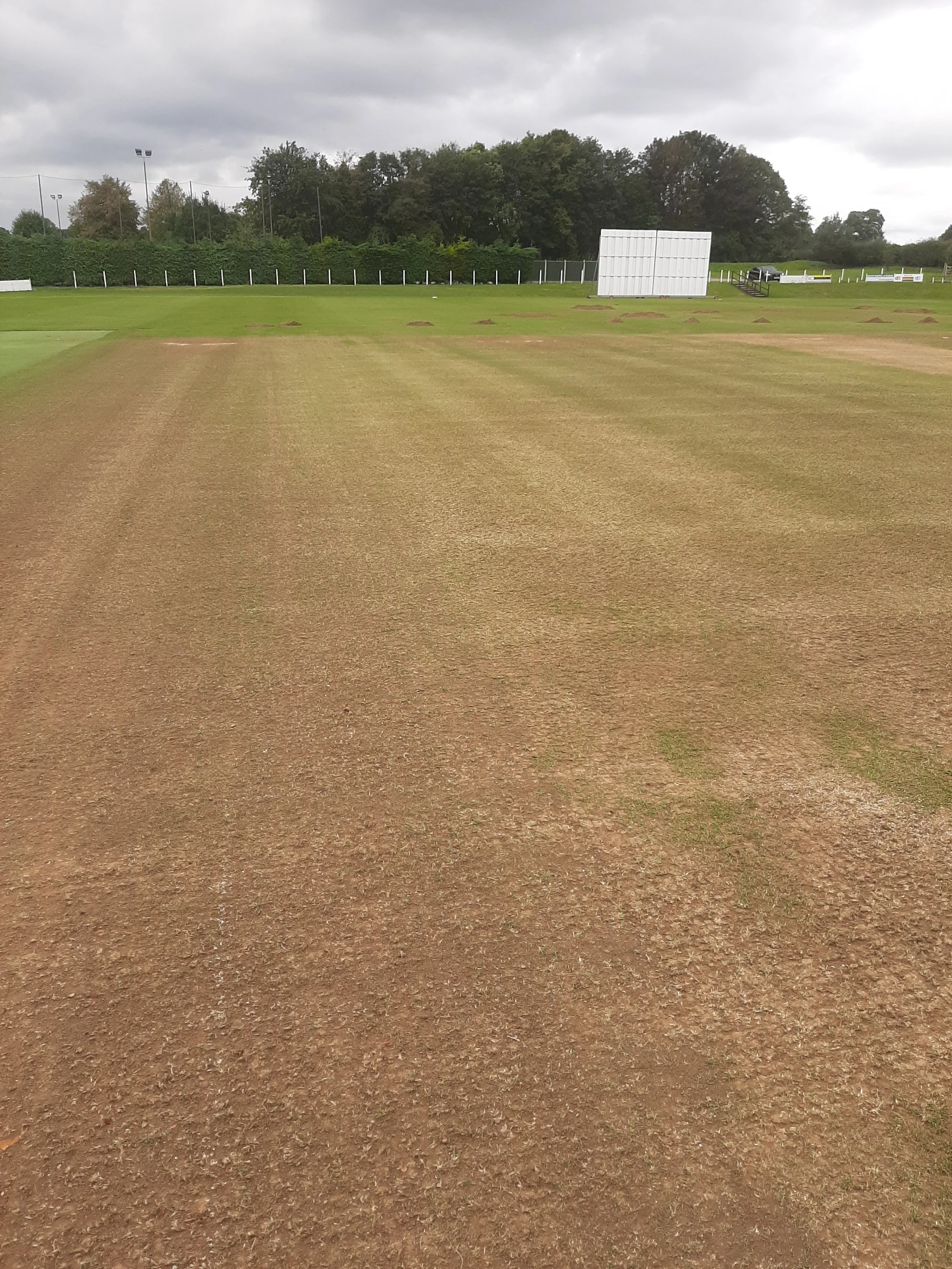 2021-09-19 13.29.57 - Copy.jpg