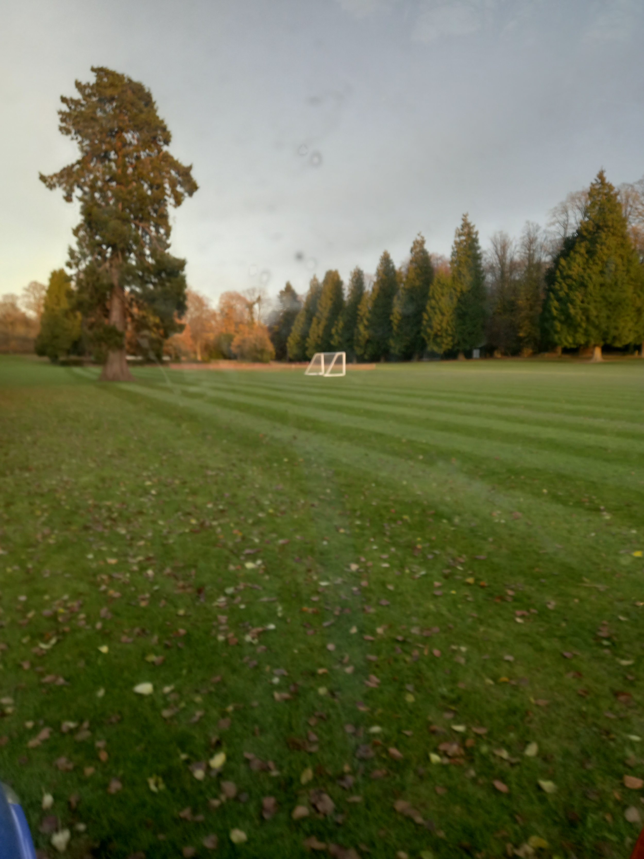 20211125_153908 - Copy.jpg