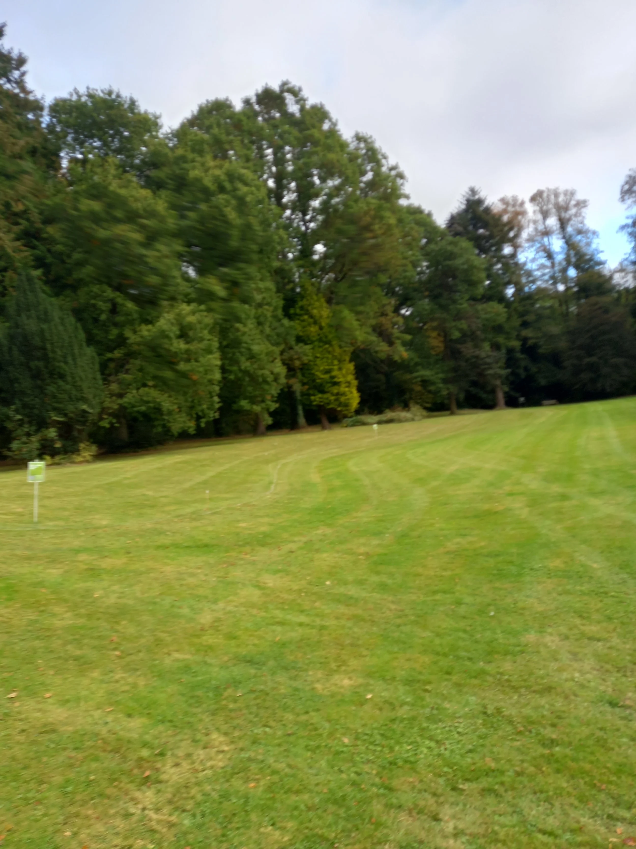 20211012_142659 - Copy.jpg