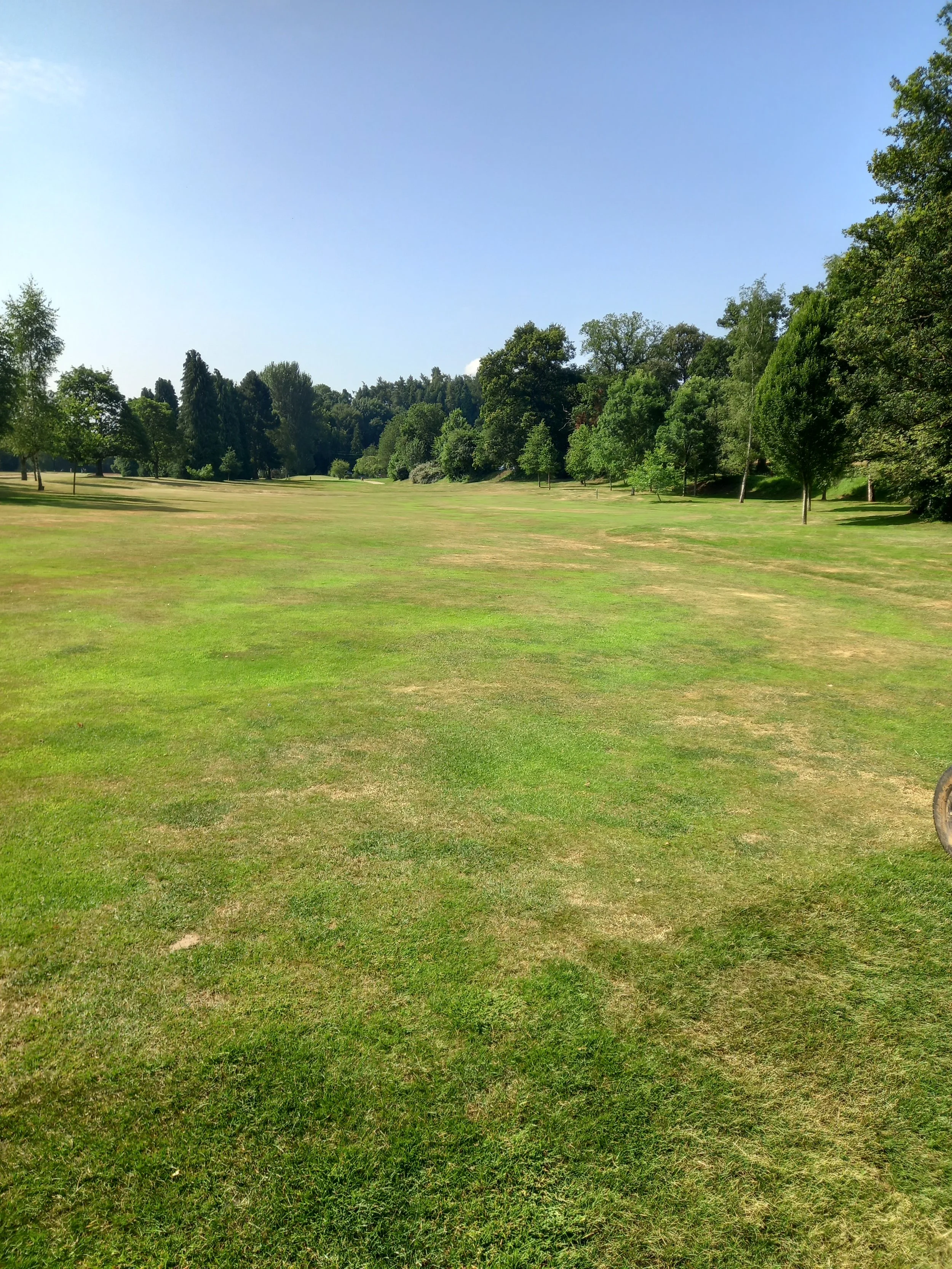 20210726_102731 - Copy.jpg