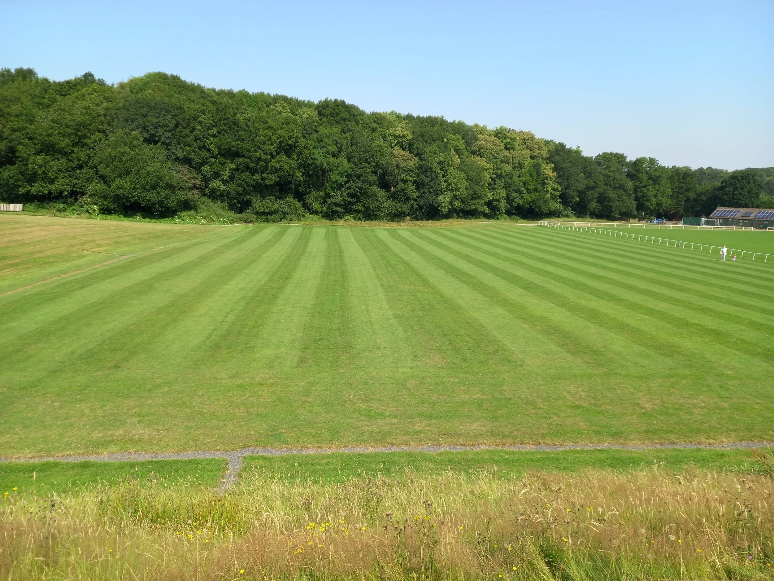 20210722_104906 - Copy.jpg