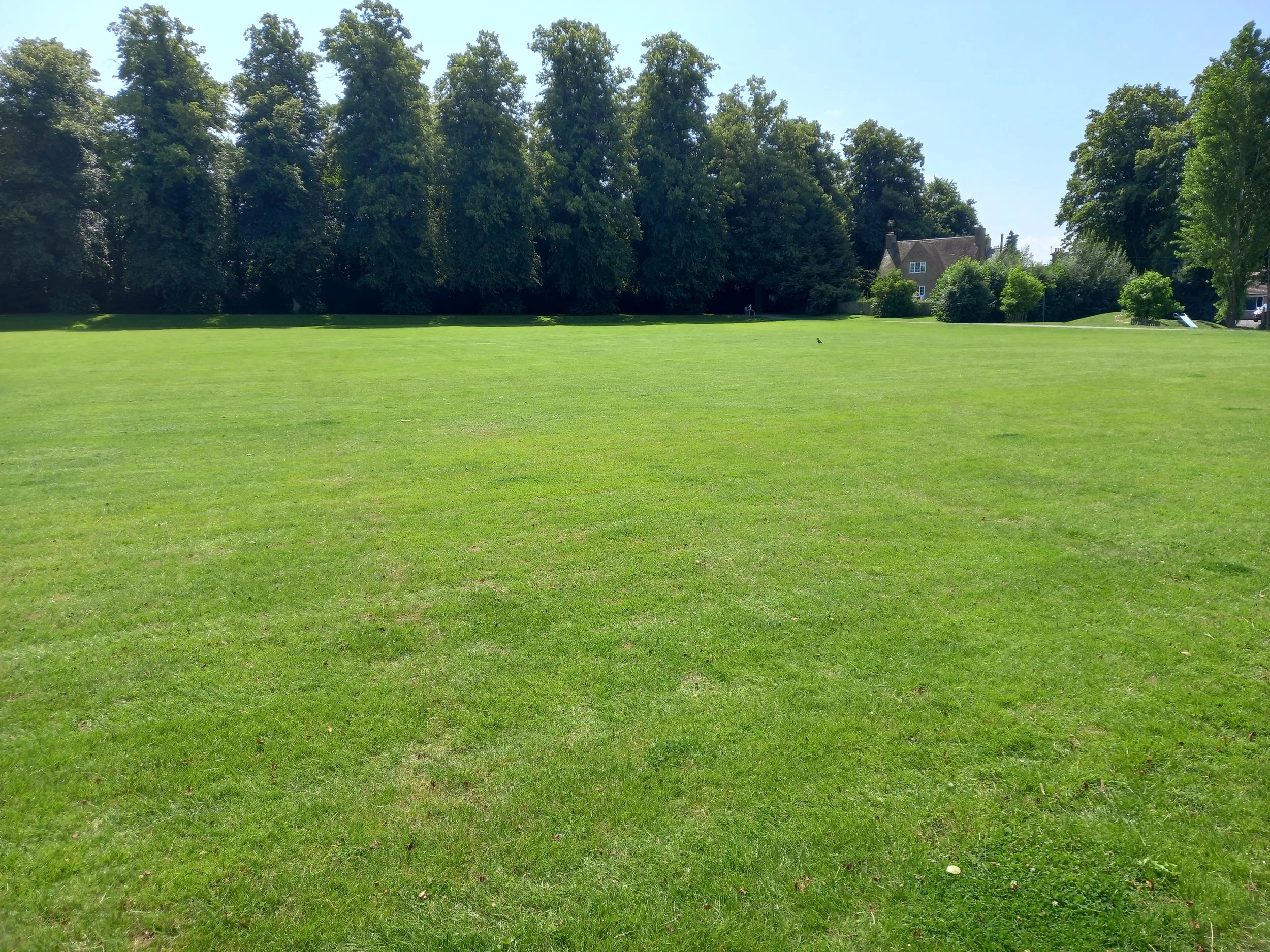 20210720_114610 - Copy.jpg