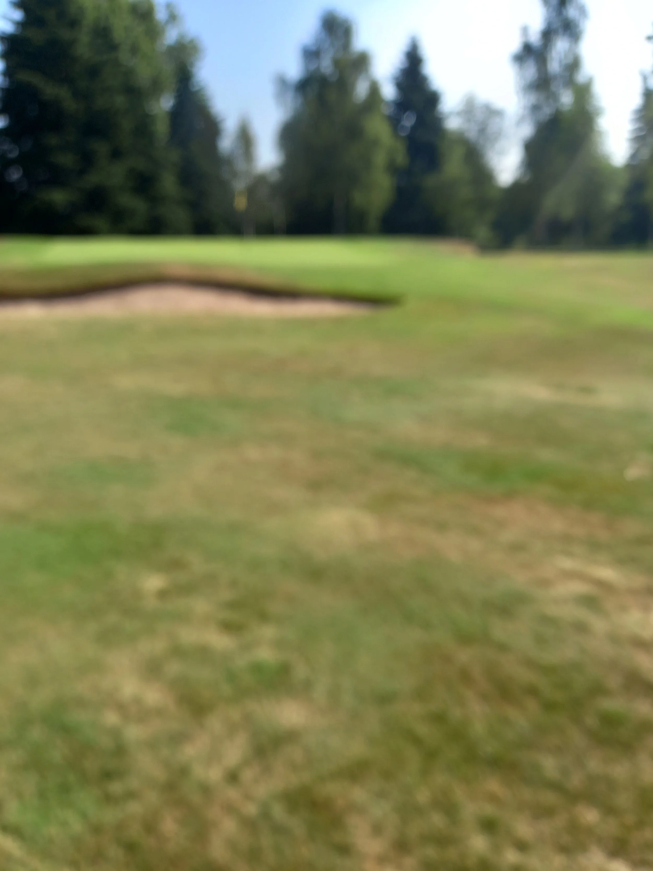 20210726_102713 - Copy.jpg