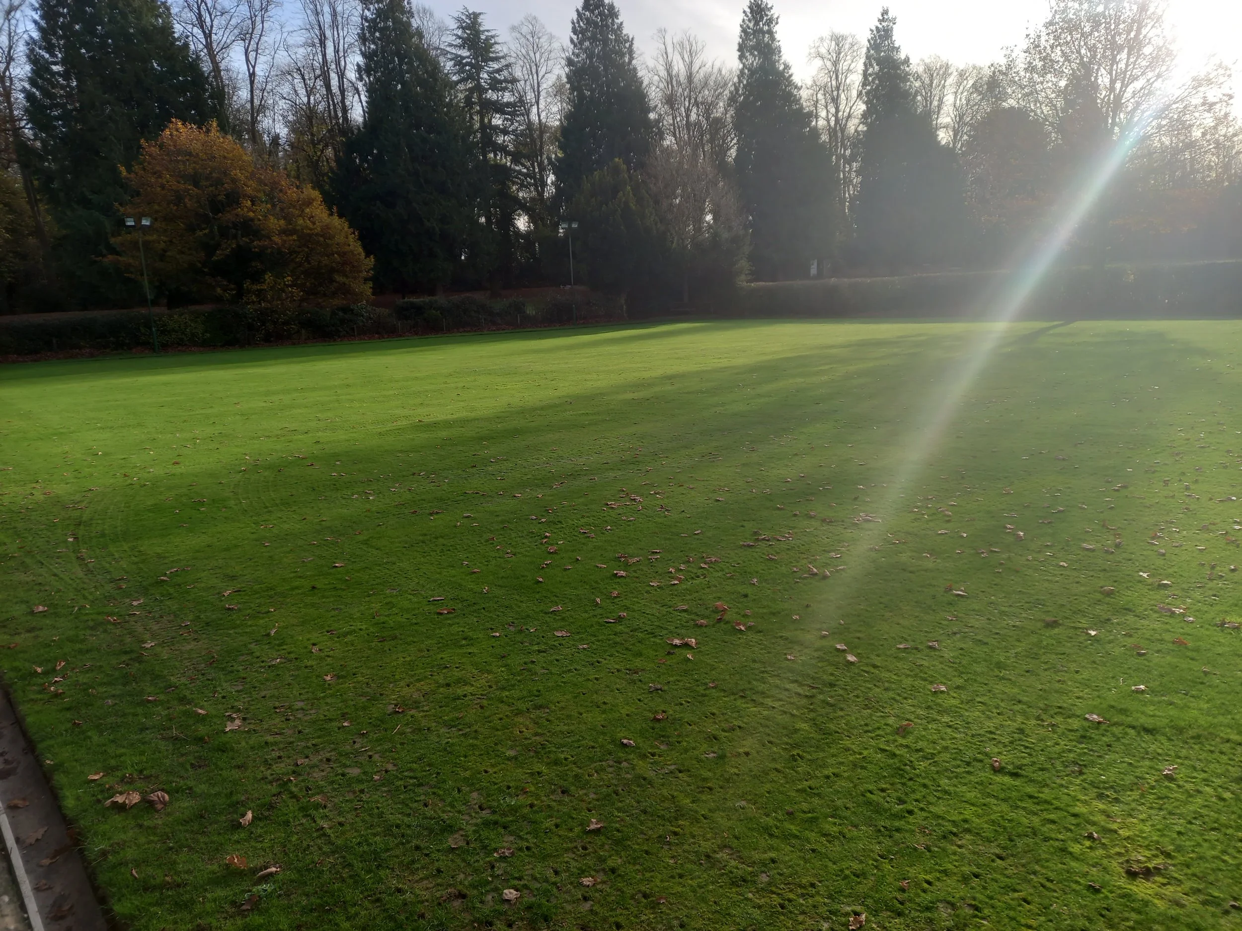 20211125_133703 - Copy.jpg